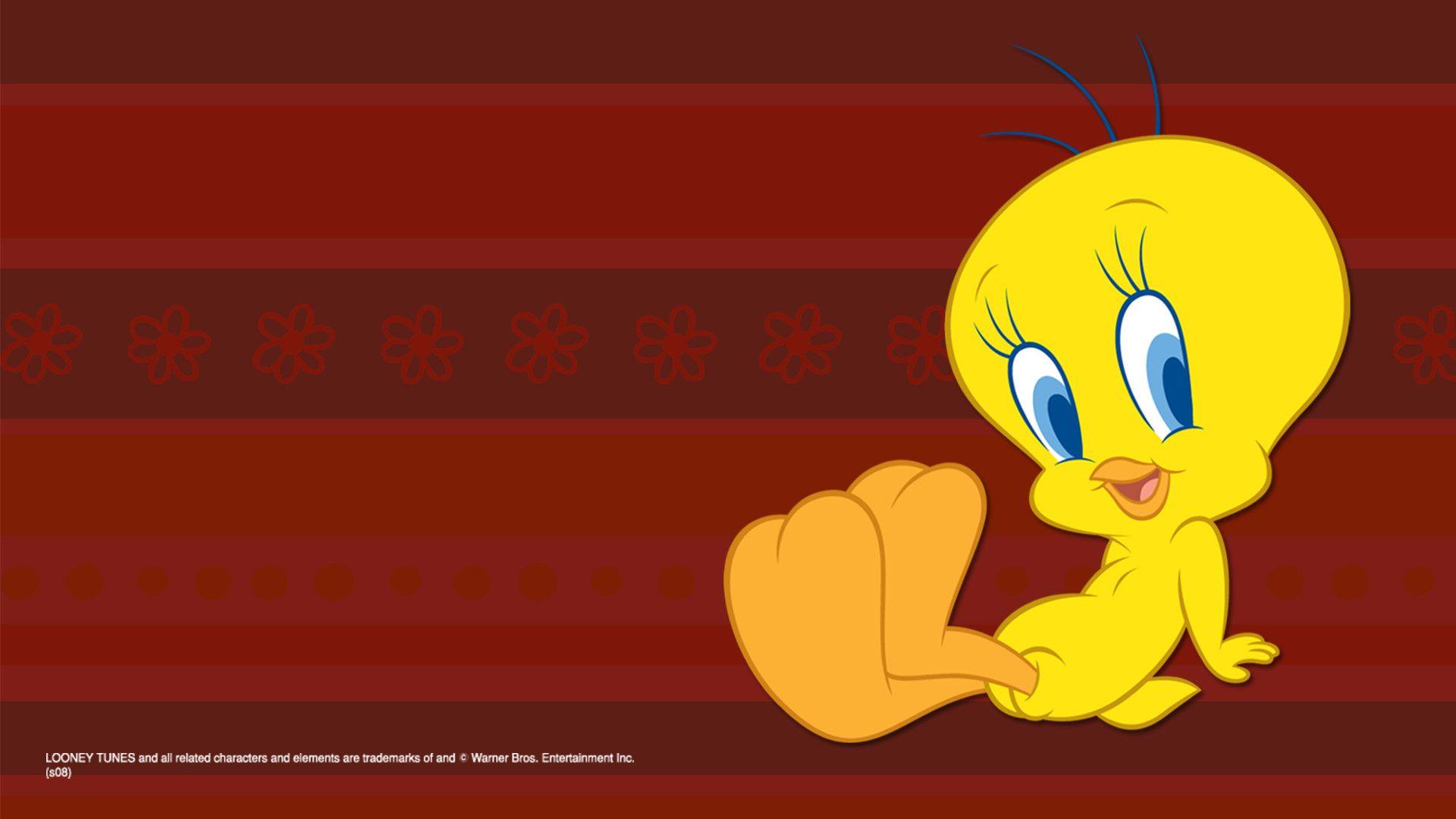 Tweety Wallpapers For Mobile Wallpaper Cave