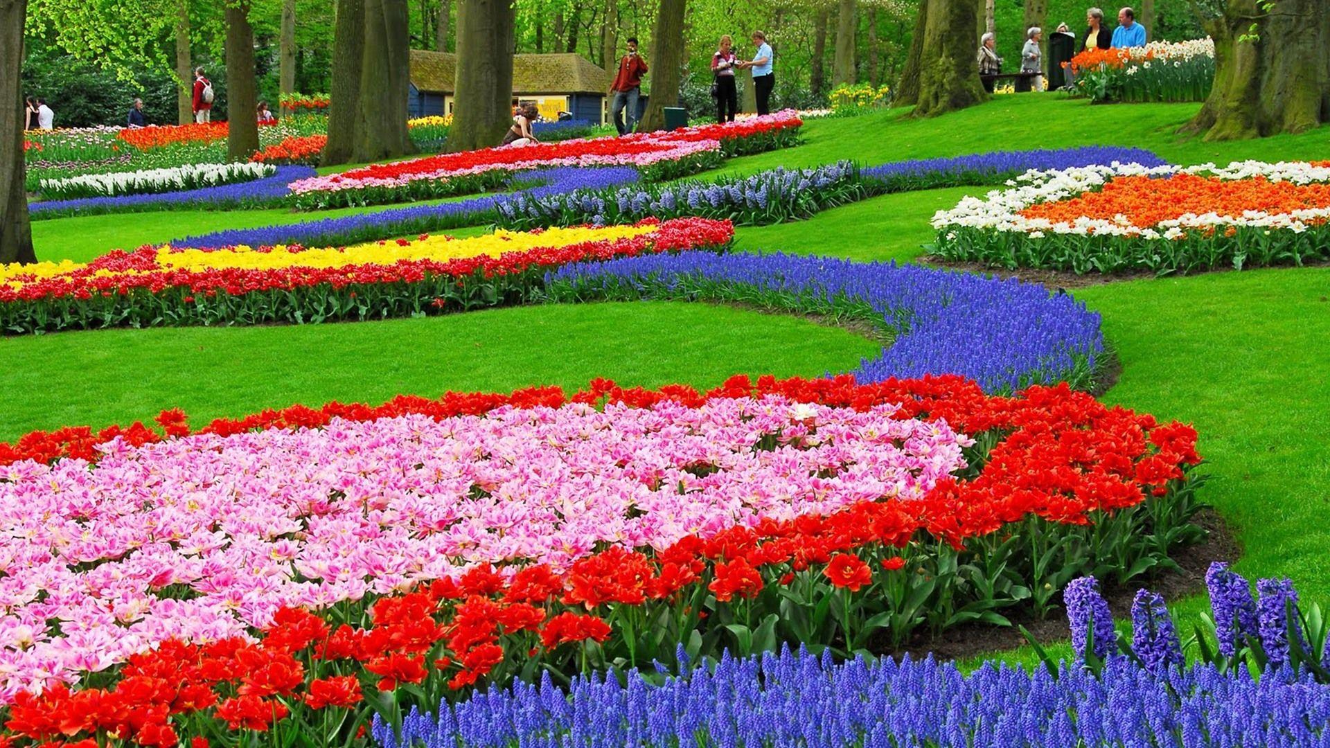 Flower Garden Wallpaper