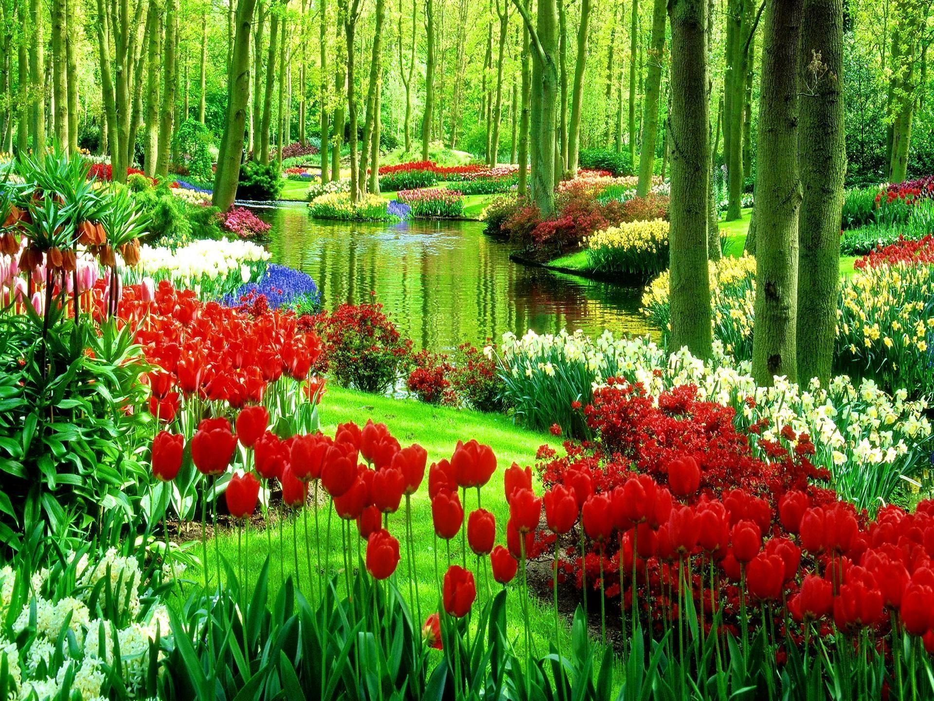 Green Park With Flowers Nature Full HD Wallpaper. Beautiful gardens, Most beautiful gardens, Amazing gardens