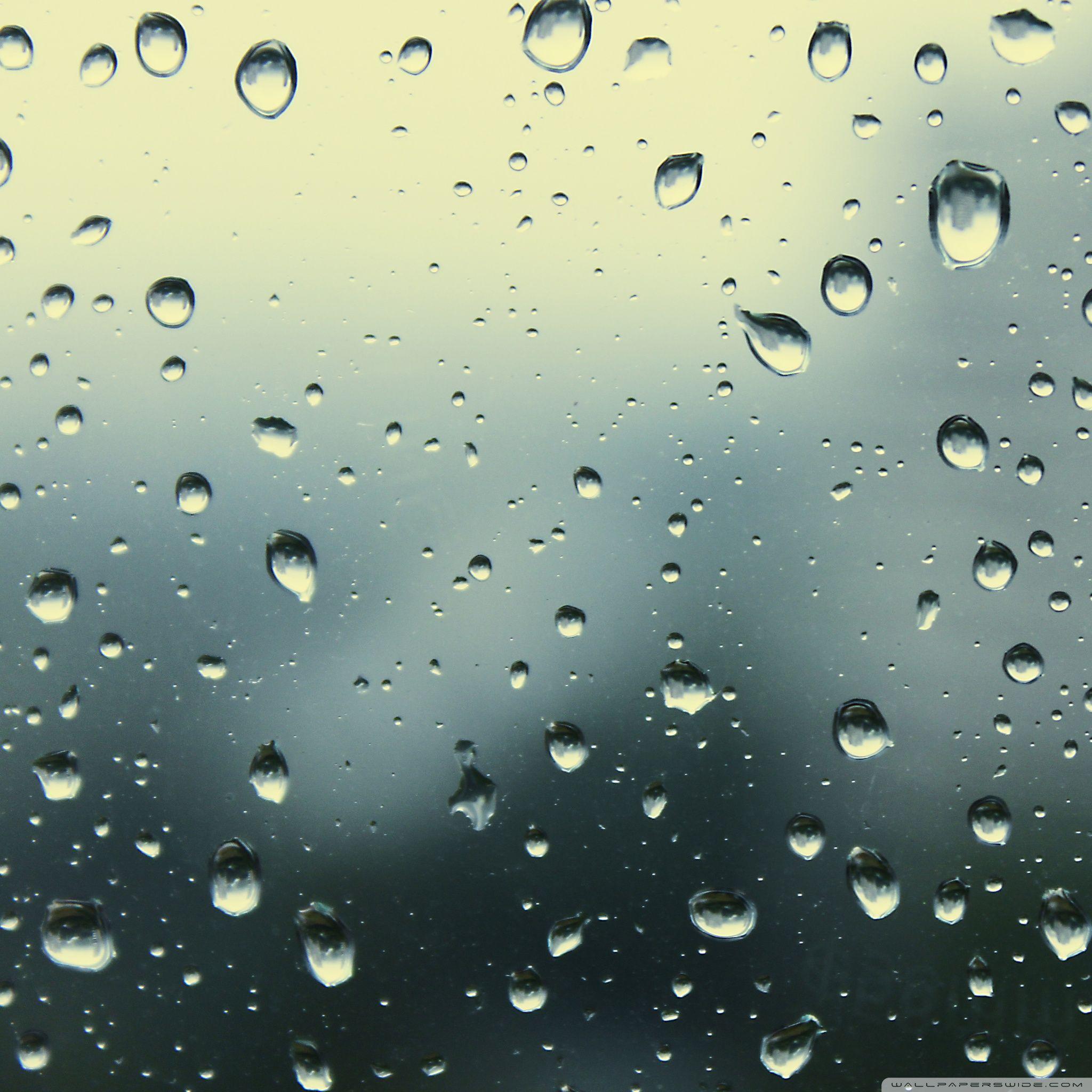 Rain Drops ❤ 4K HD Desktop Wallpaper for • Dual Monitor Desktops