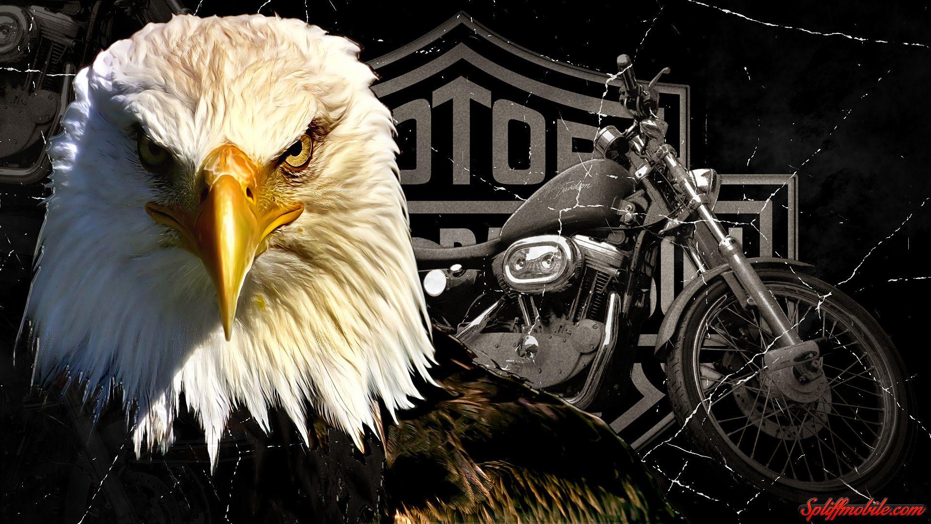 Harley Davidson Wallpapers 1920x1080 Wallpaper Cave