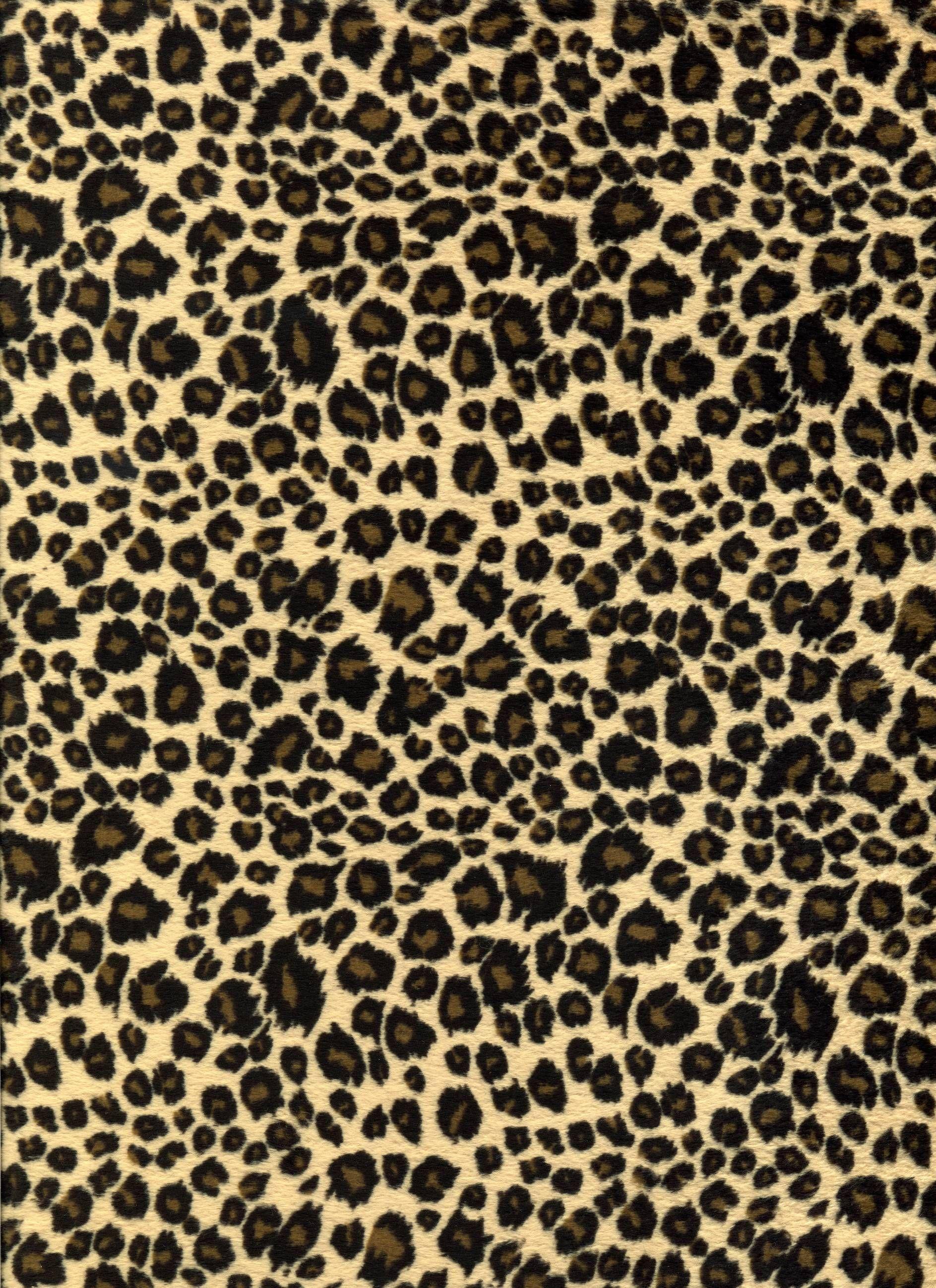 Leopard Background. Android Wallpaper