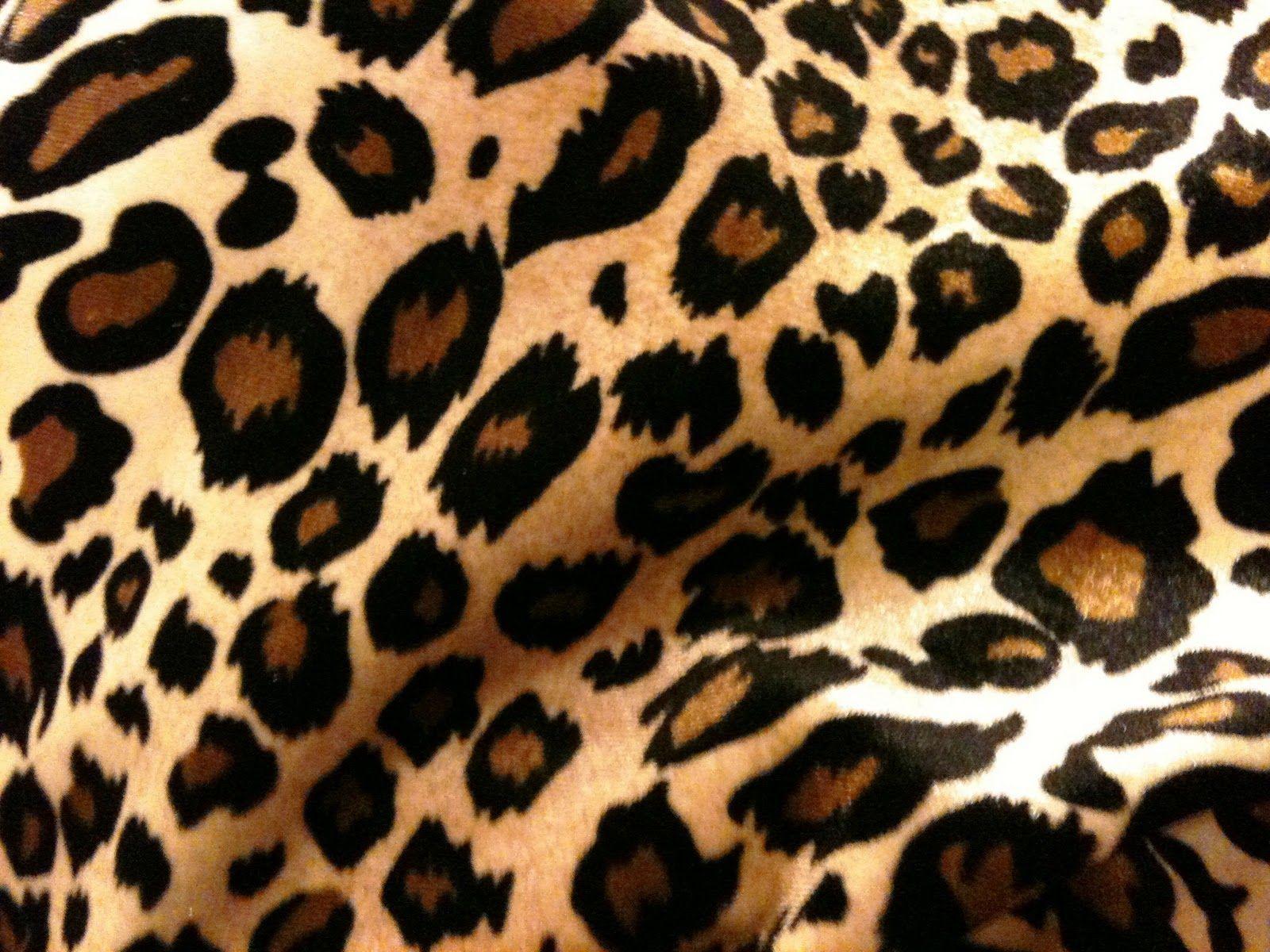 Cheetah Print HD Wallpaper
