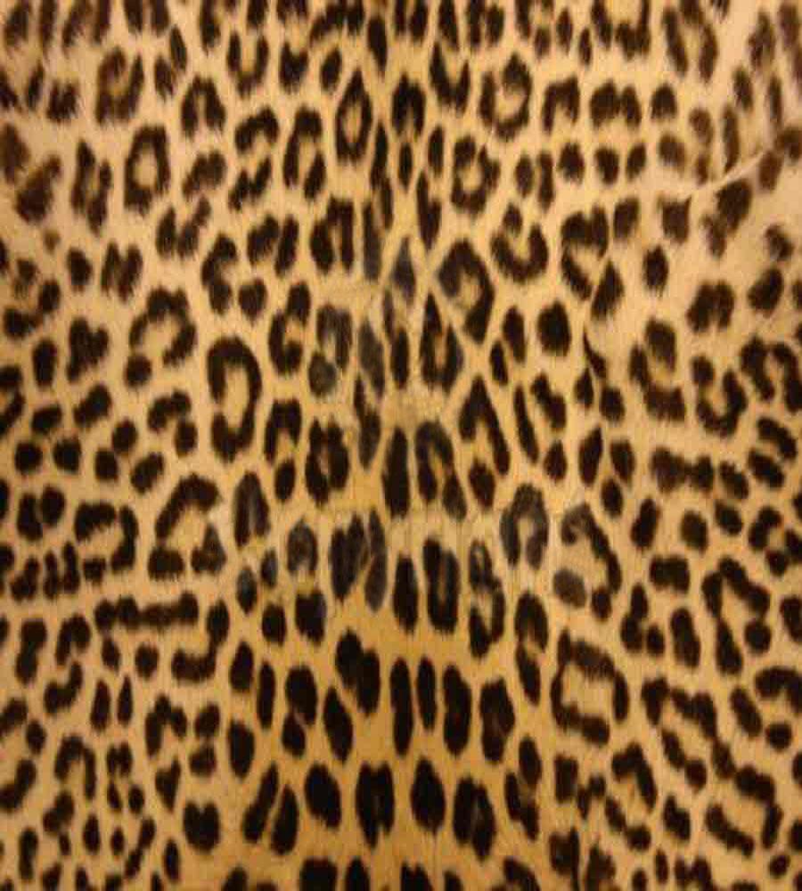 Cheetah Print Desktop Background