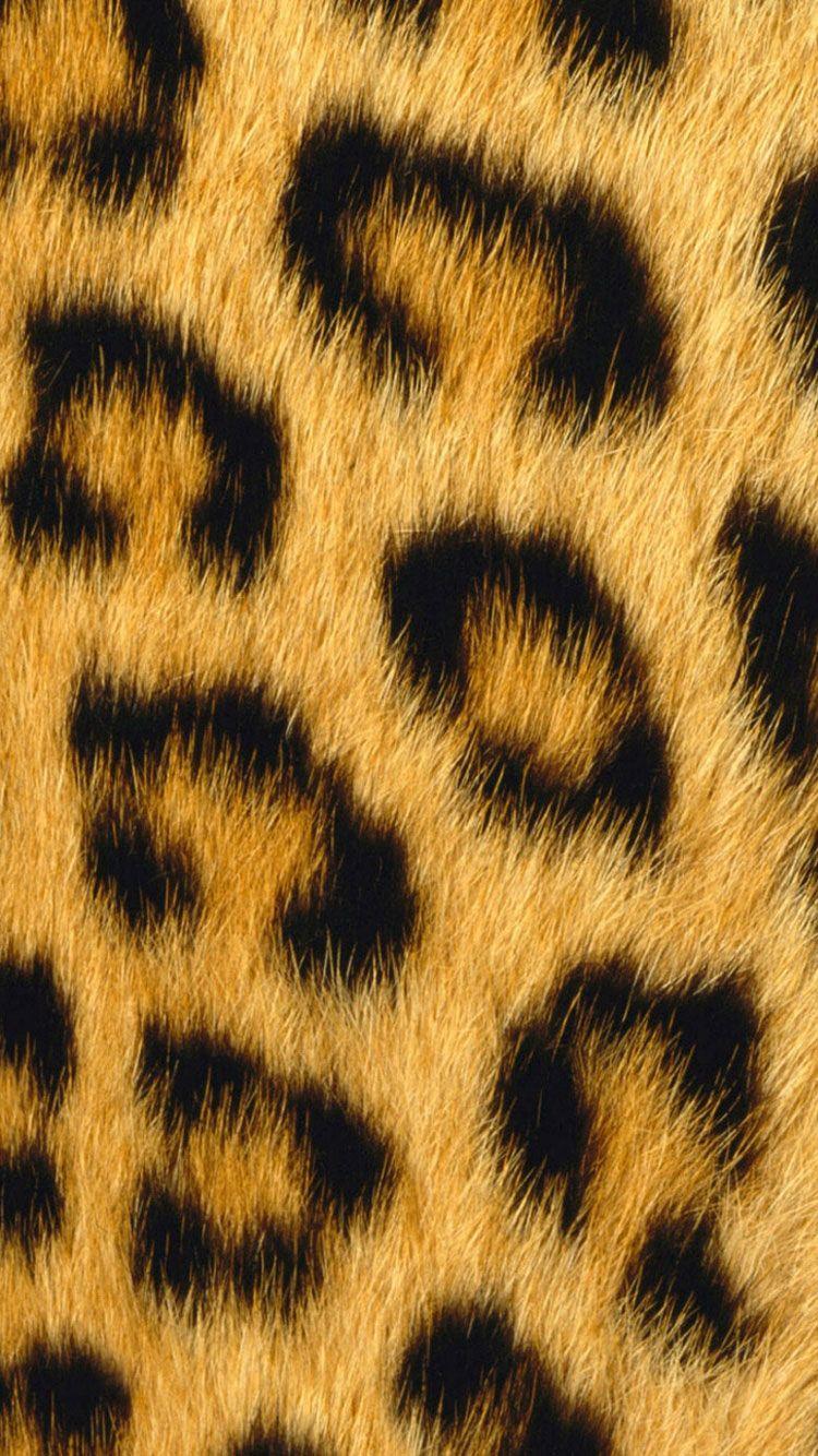 Cheetah Print IPhone Wallpaper