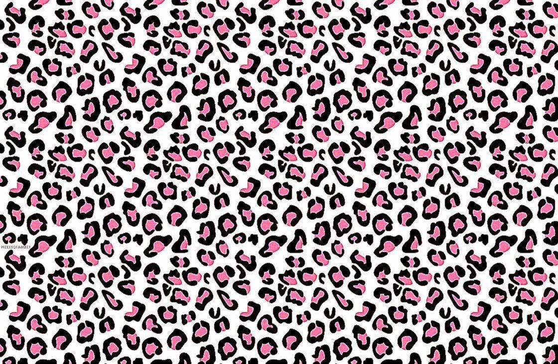 cute cheetah print desktop wallpaper