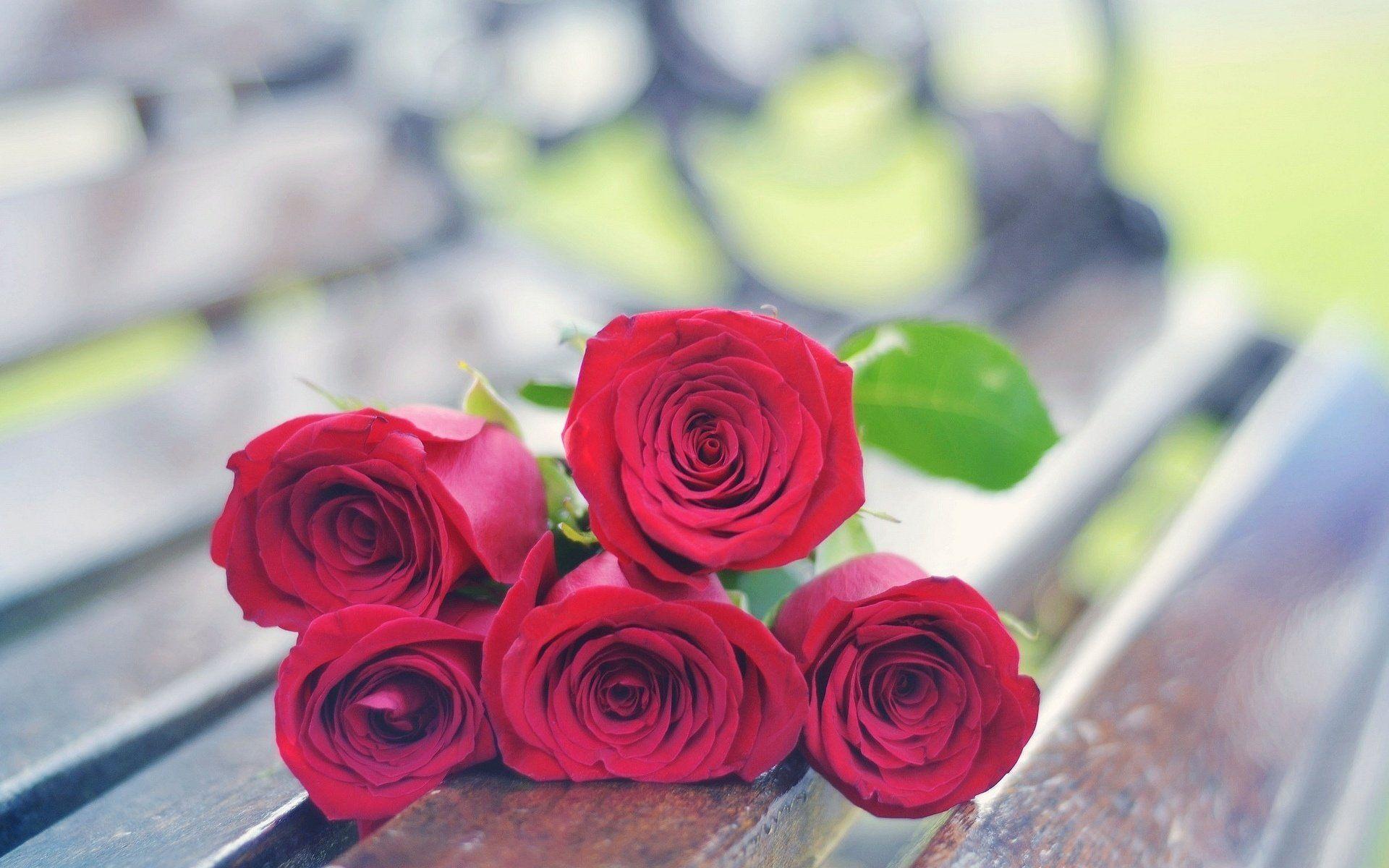 Red Rose Bokeh Wallpapers - Wallpaper Cave