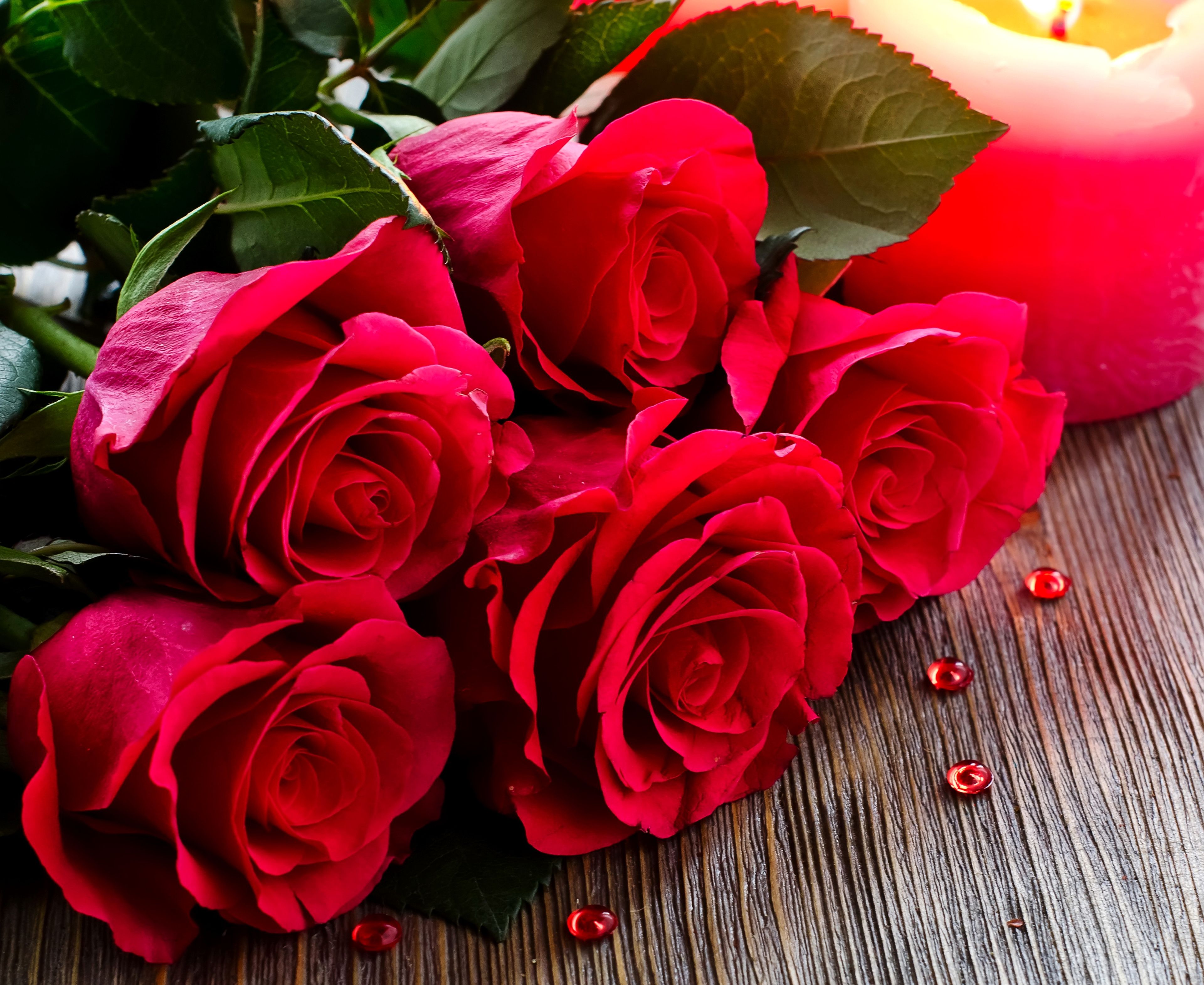 Roses 4k Ultra HD Wallpaper and Background Imagex3142