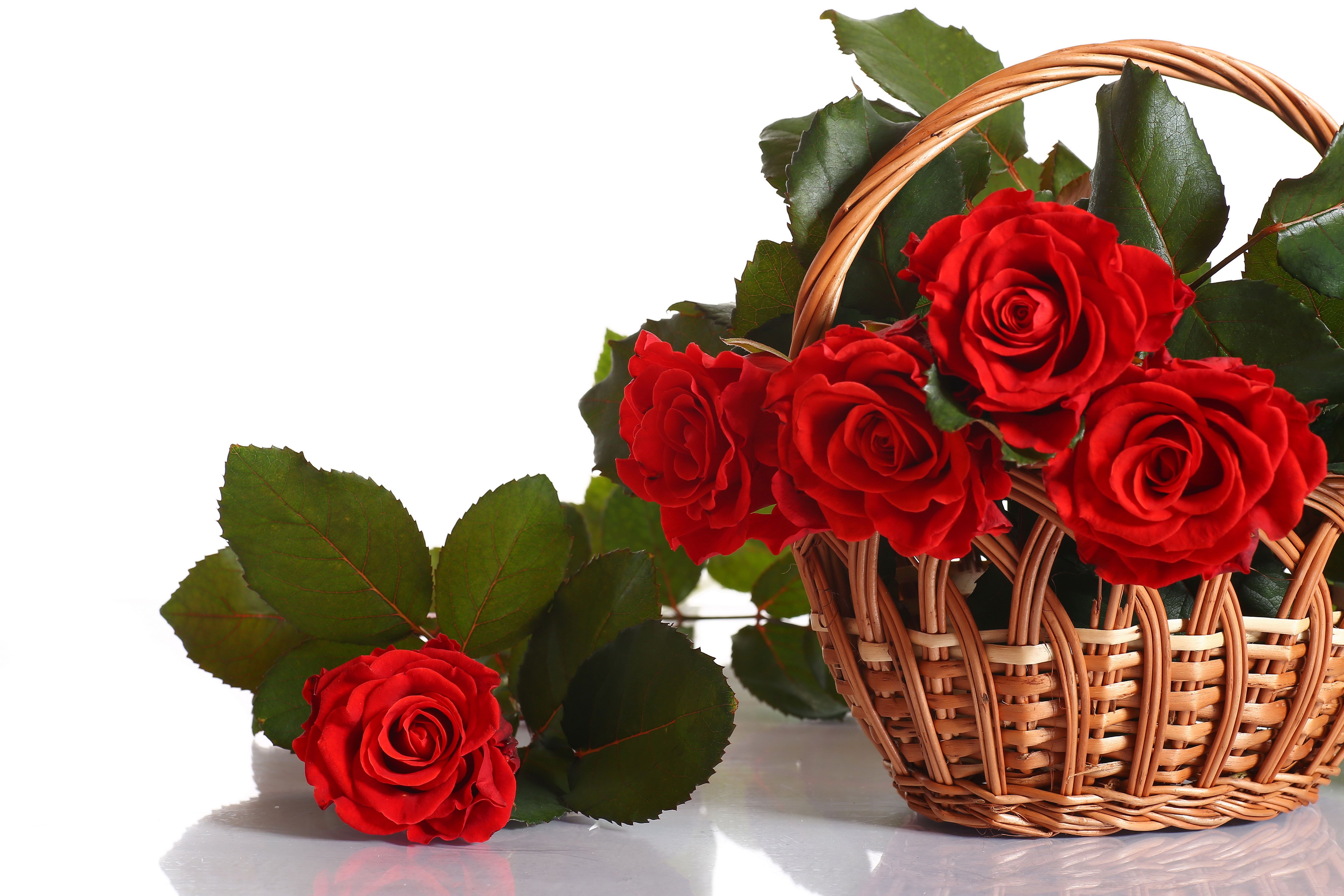 Roses Red Wicker basket Flowers wallpaperx4000