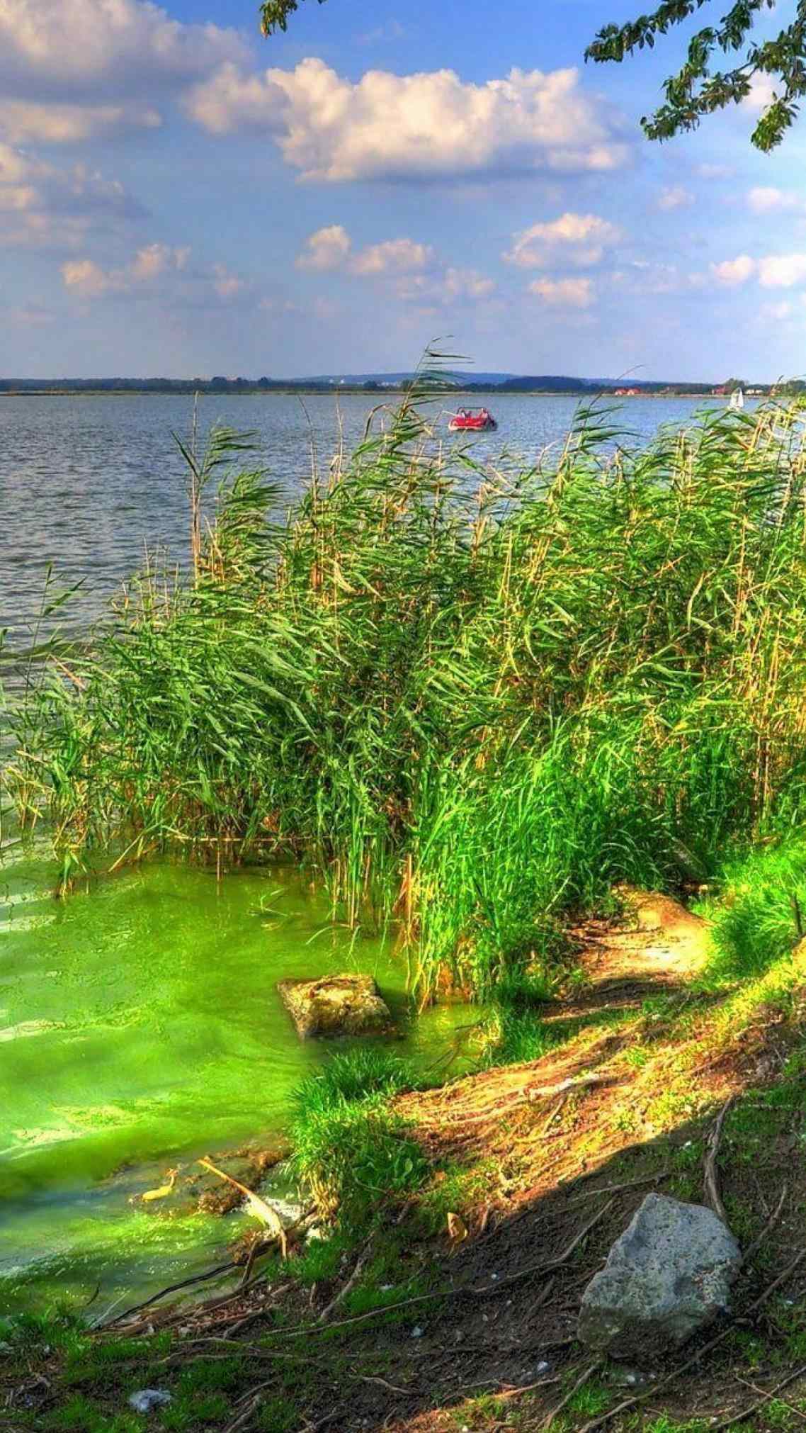 Of background natural beauty wallpaper for mobile image about