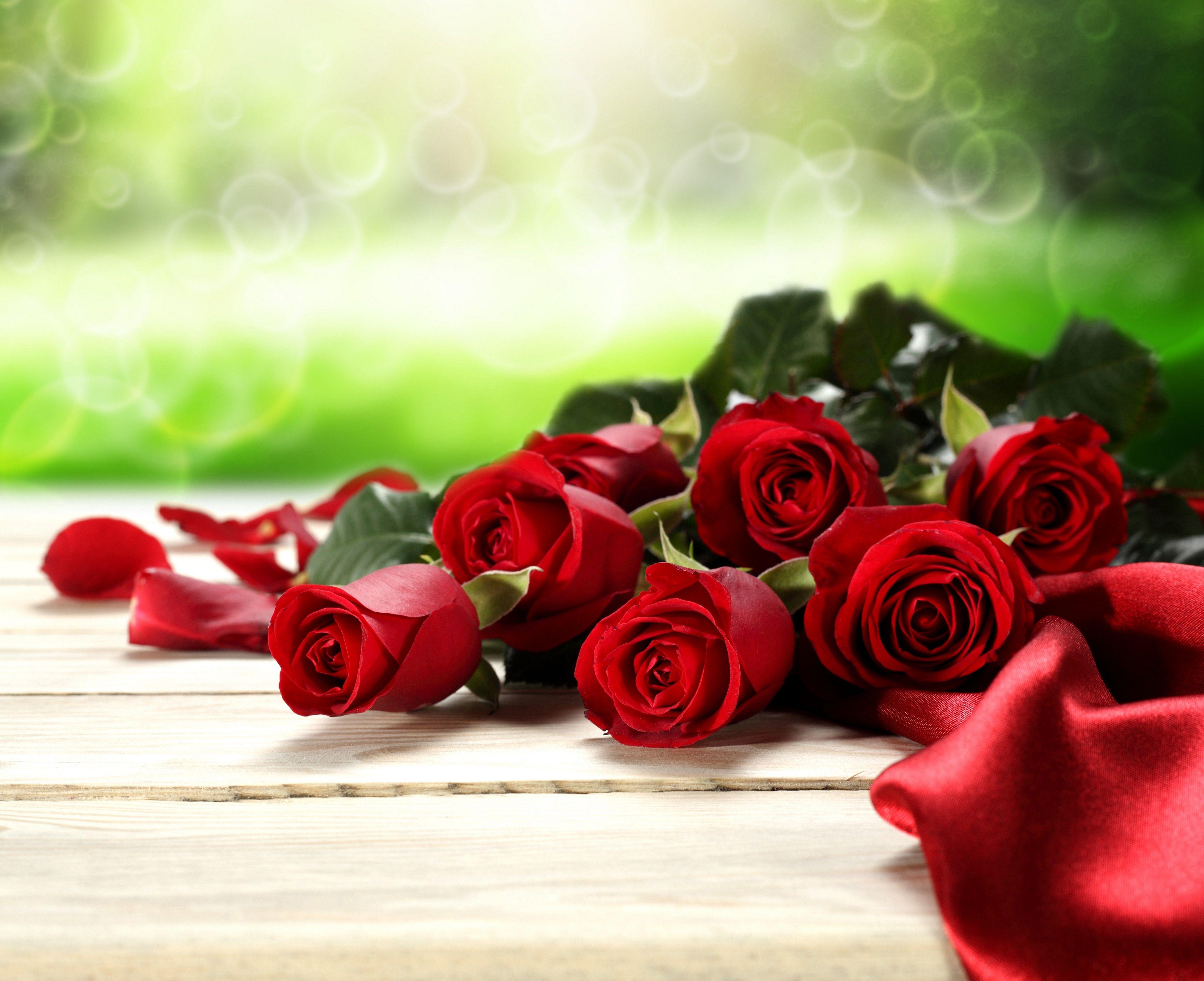 Flower: Love Flowers Bokeh Roses Valentines Day Bouquet Rose Red