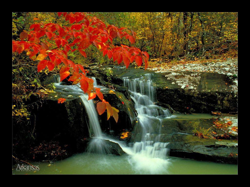 Natural Beauty Wallpaper. Free HD Wallpaper