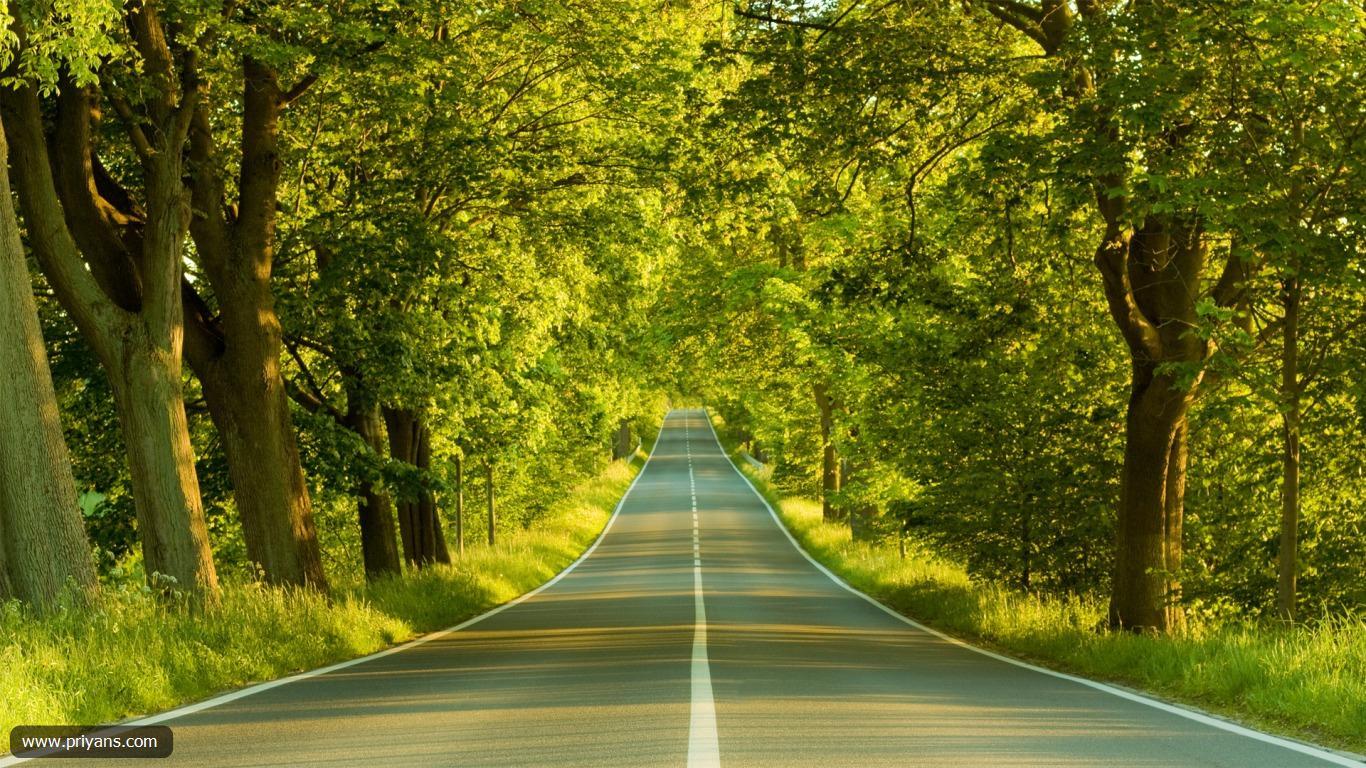 Live HD Natural Wallpaper, Photo for desktop and mobile