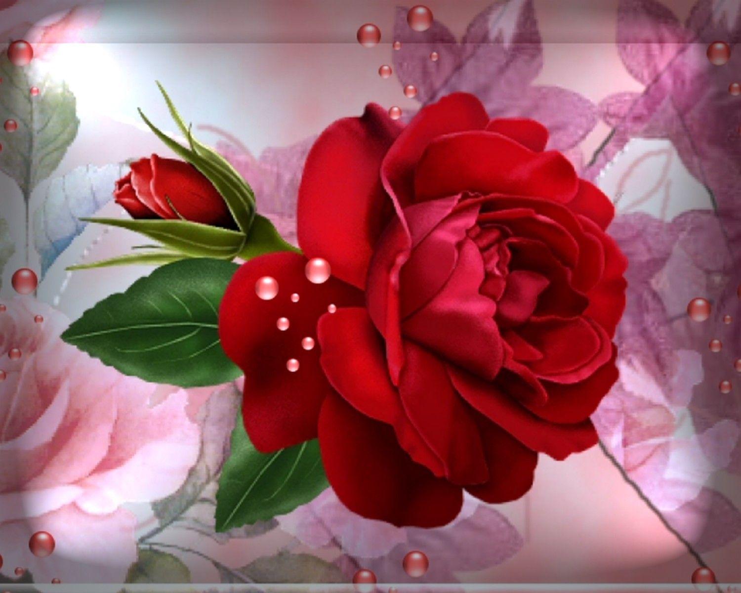 Flowers: Bokeh Red Beautiful Rose Nature Flower Light Wallpaper