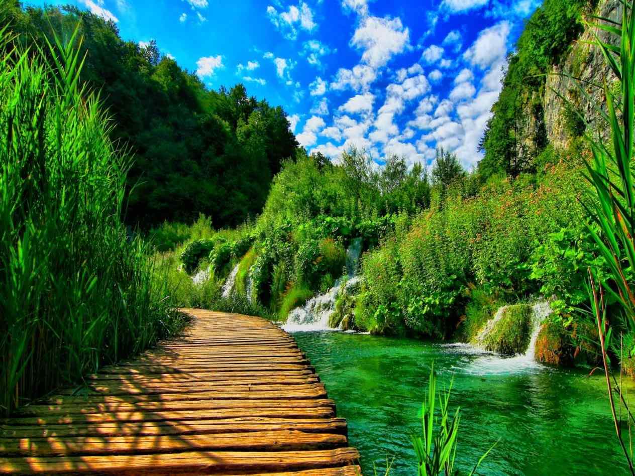 Of natural beauty wallpaper for mobile nature group HD with items