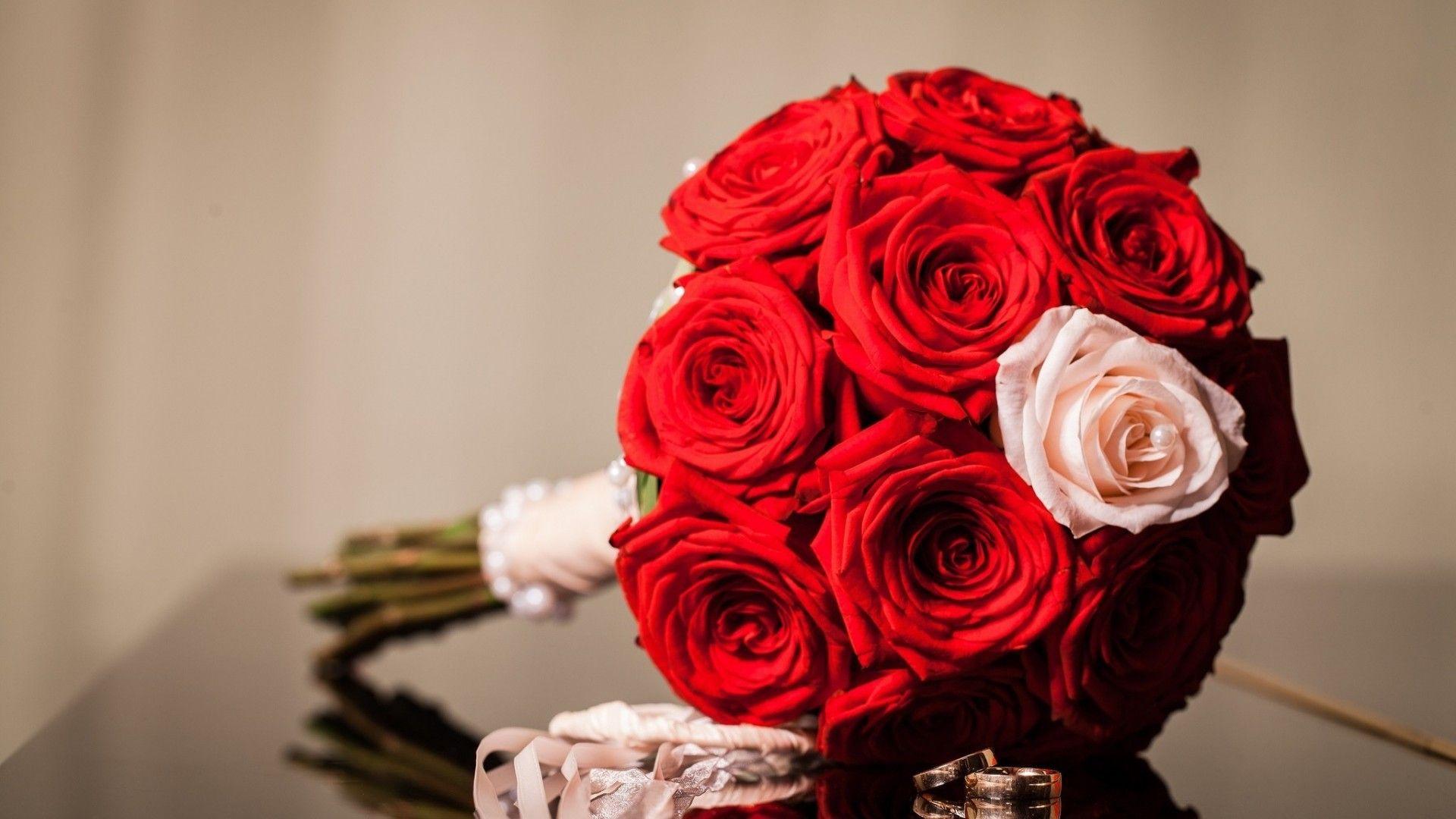 Red Roses, High Definition, High Quality, Widescreen