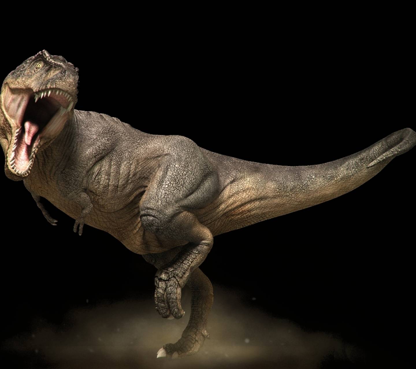 T Rex Dinosaur Wallpaper