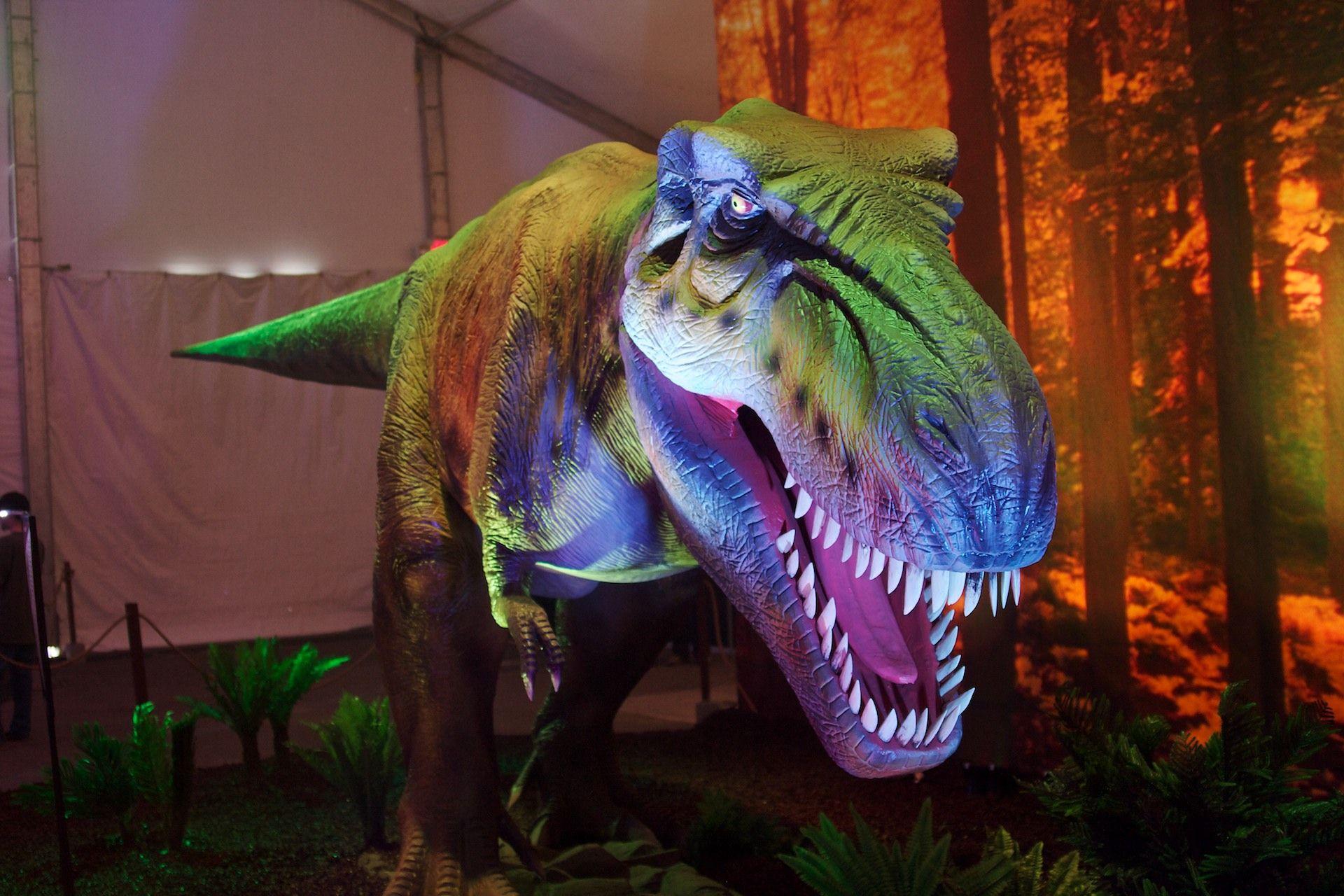 T Rex Dinosaur Desktop Wallpaper