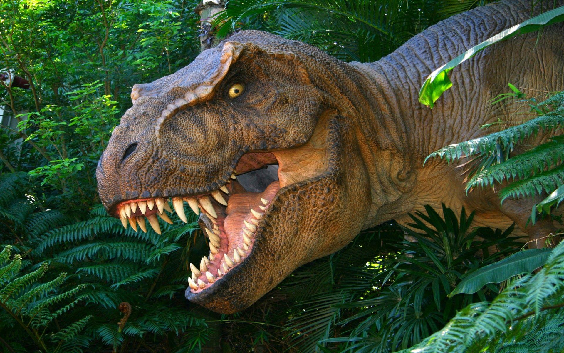 Dinosaurs Tyrannosaurus Rex Lost World Of Animals From The Past HD