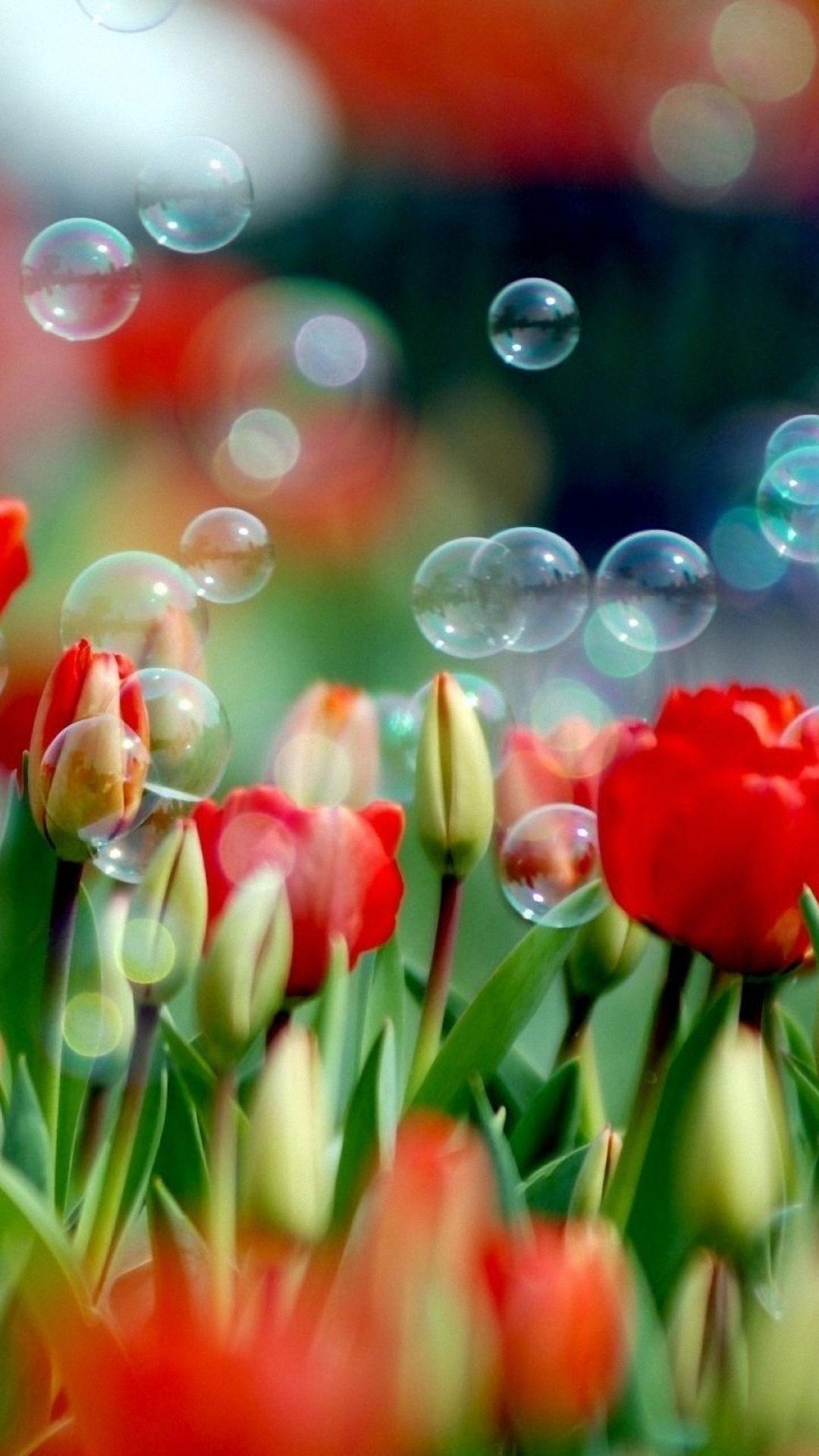 Tulips And Bubbles samsung galaxy a7 Wallpaper HD 1080x1920