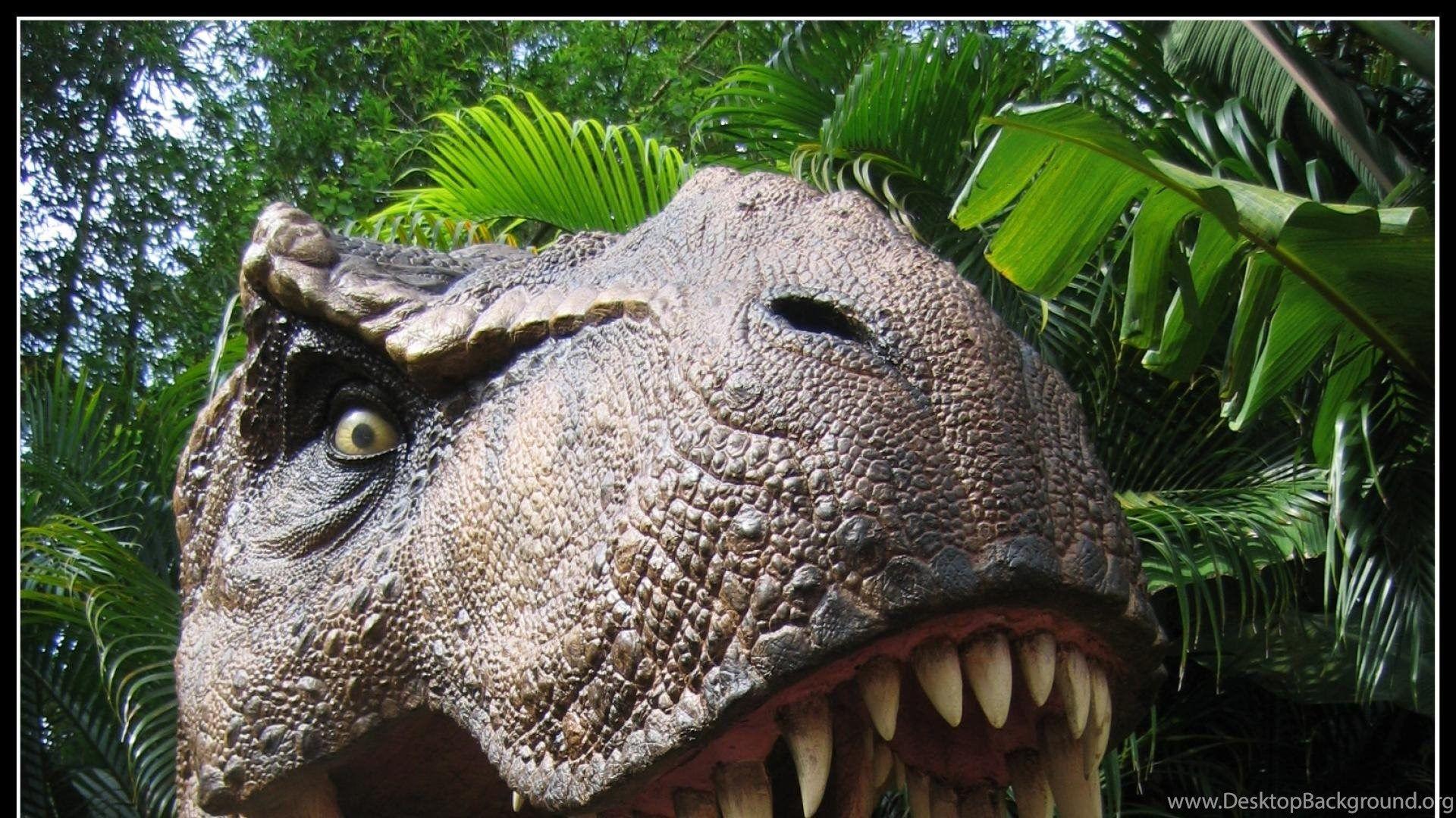 Tyrannosaurus Rex Dinosaurs Wallpaper Desktop Background