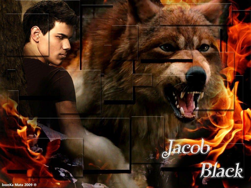 jacob wolf pack