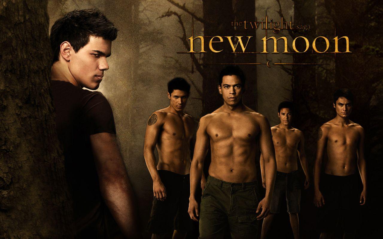 Twilight Wolves image posters new moon wolves HD wallpaper