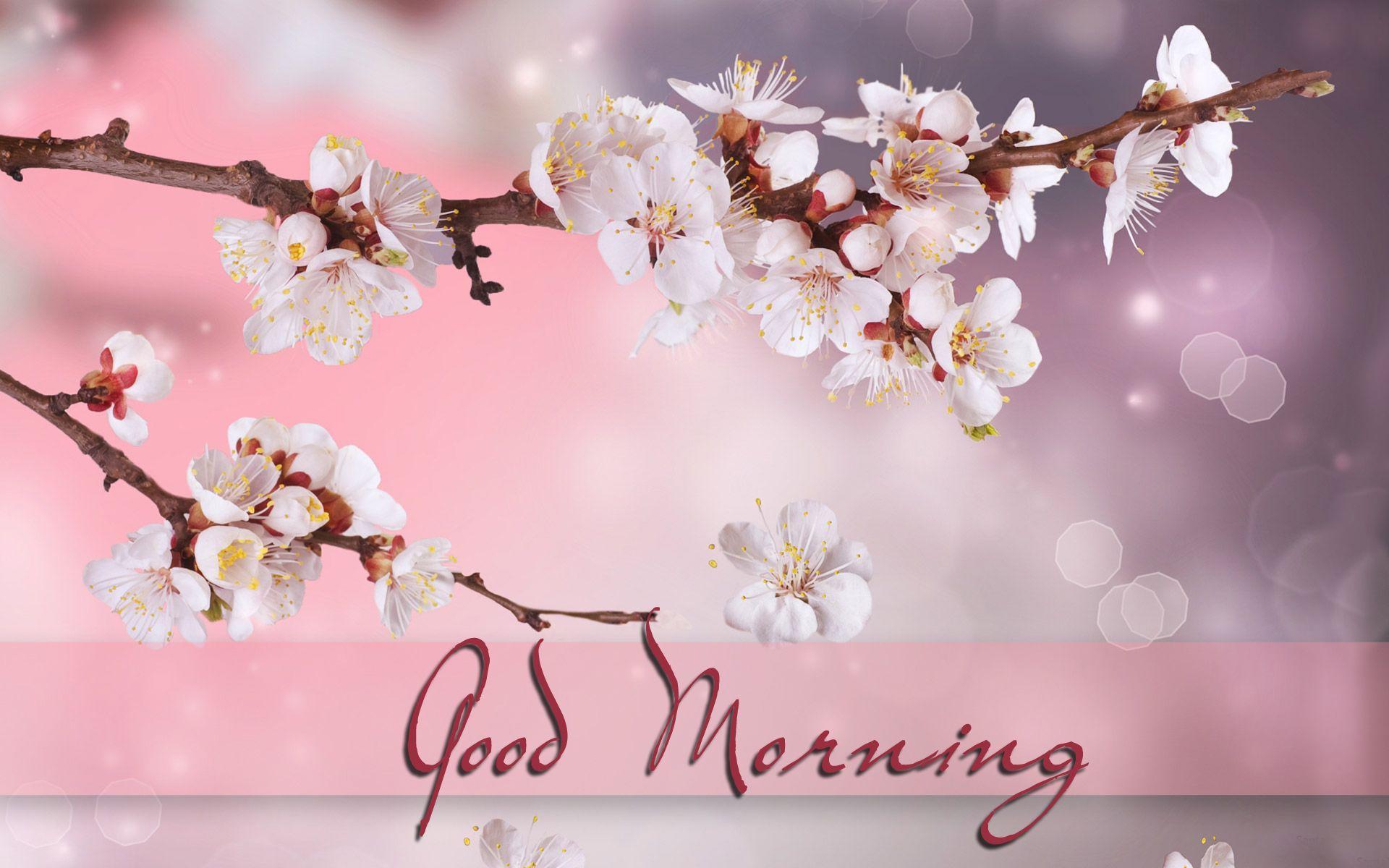 Good Morning wallpaper, Picture, Image