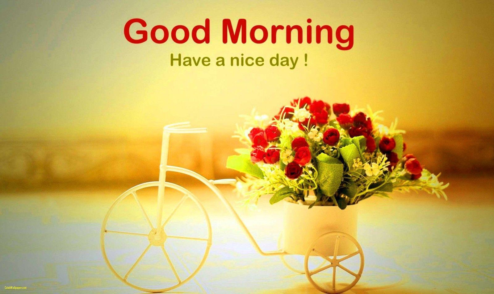 Good Morning HD Image Good Morning Wallpaper Picture Free Download