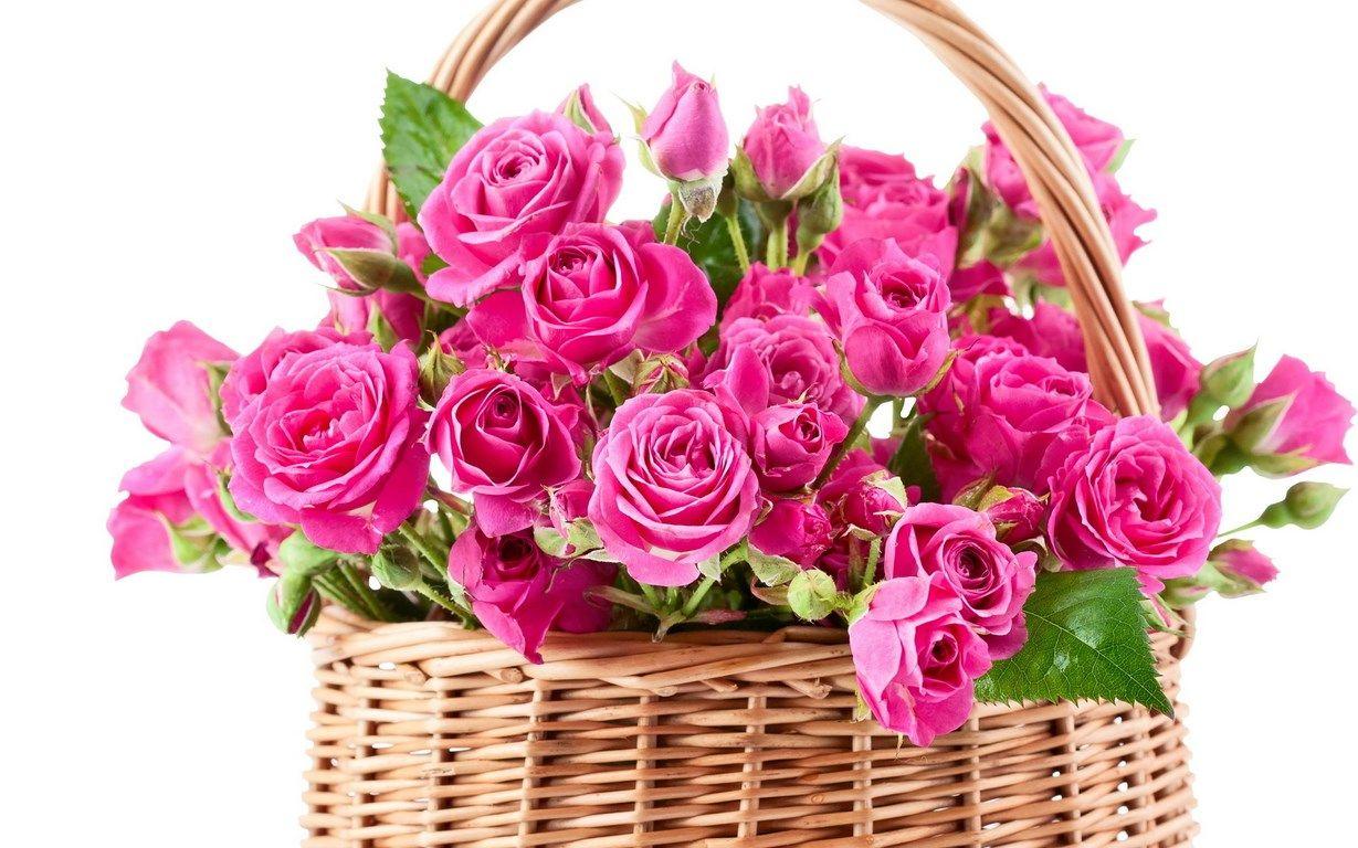 Bouquet Pink Beautiful Flowers Roses Wallpaper [1229x768]