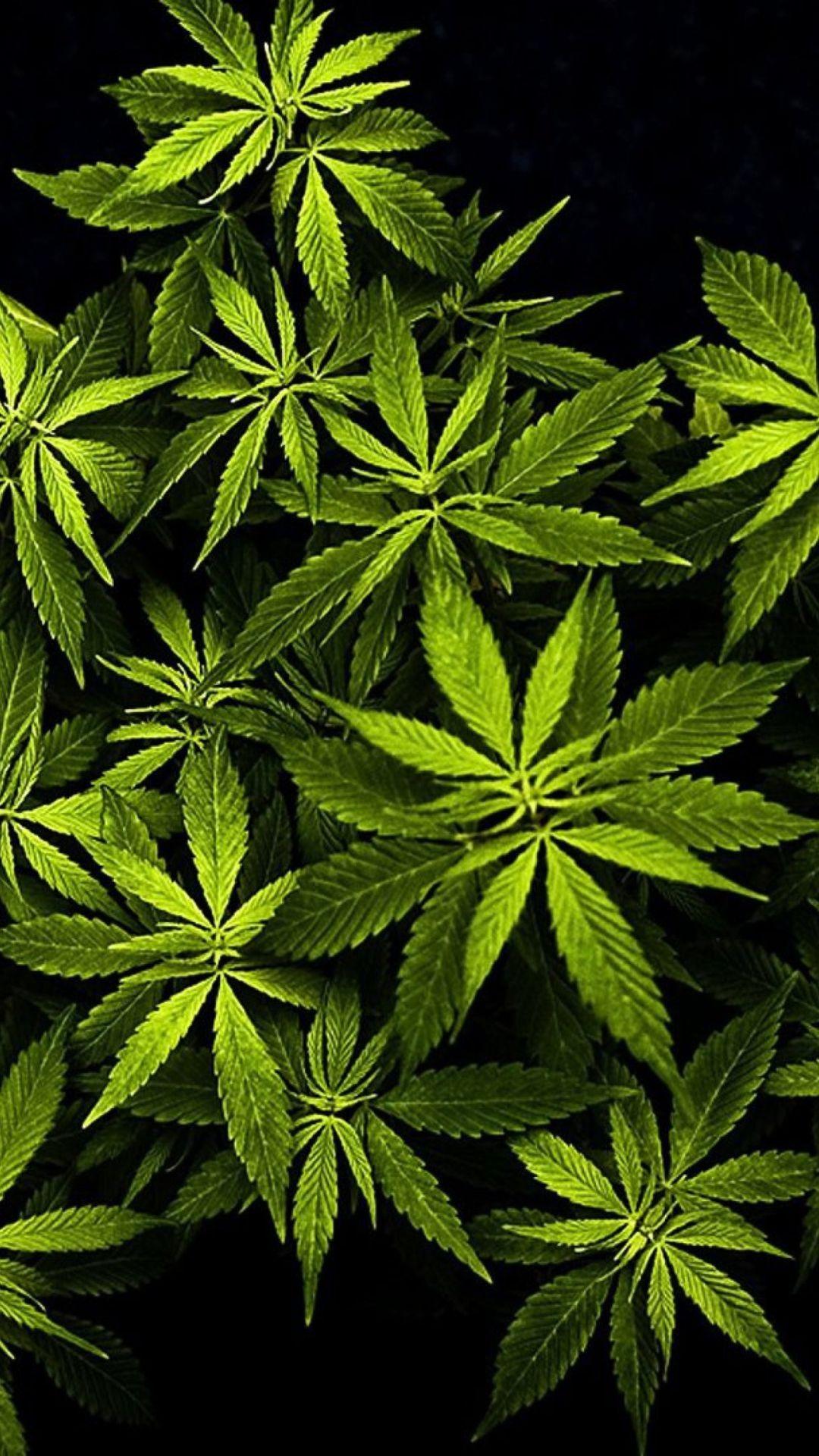 Marijuana iPhone Wallpaper