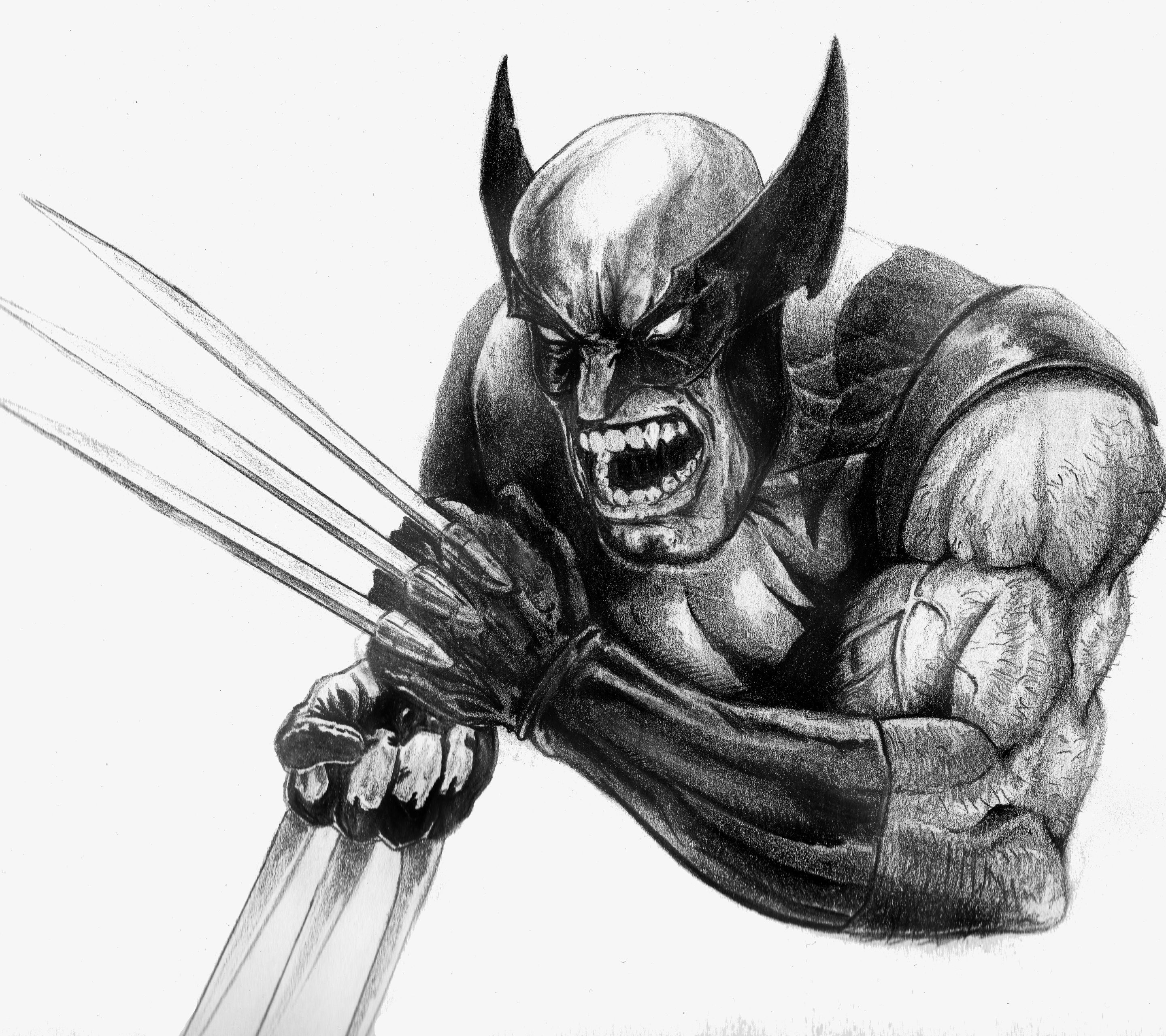 Comics Wolverine (2880x2560) Wallpaper