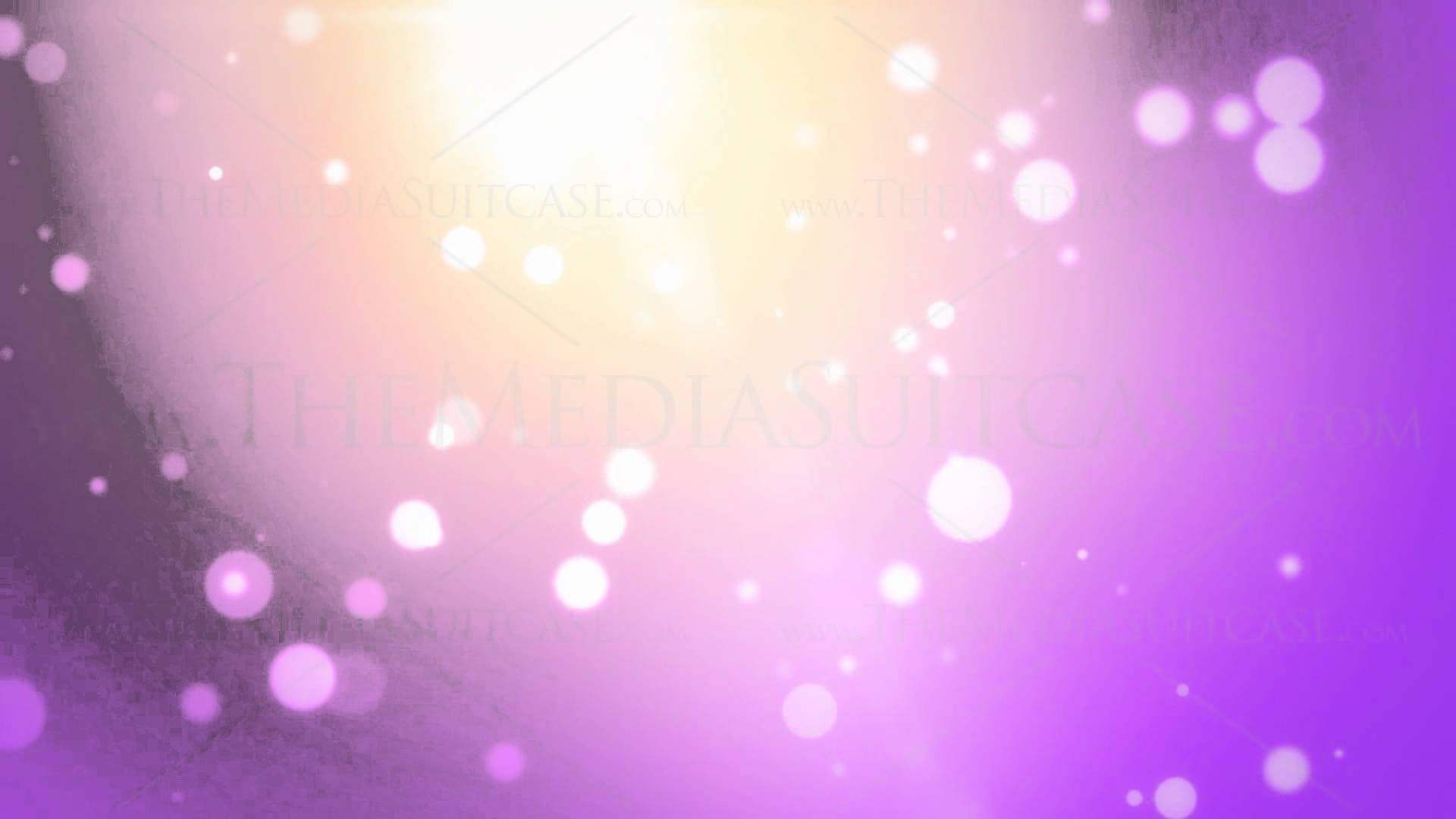 Pink Background Royalty Free Video Loops & Simple 3in1 Pack