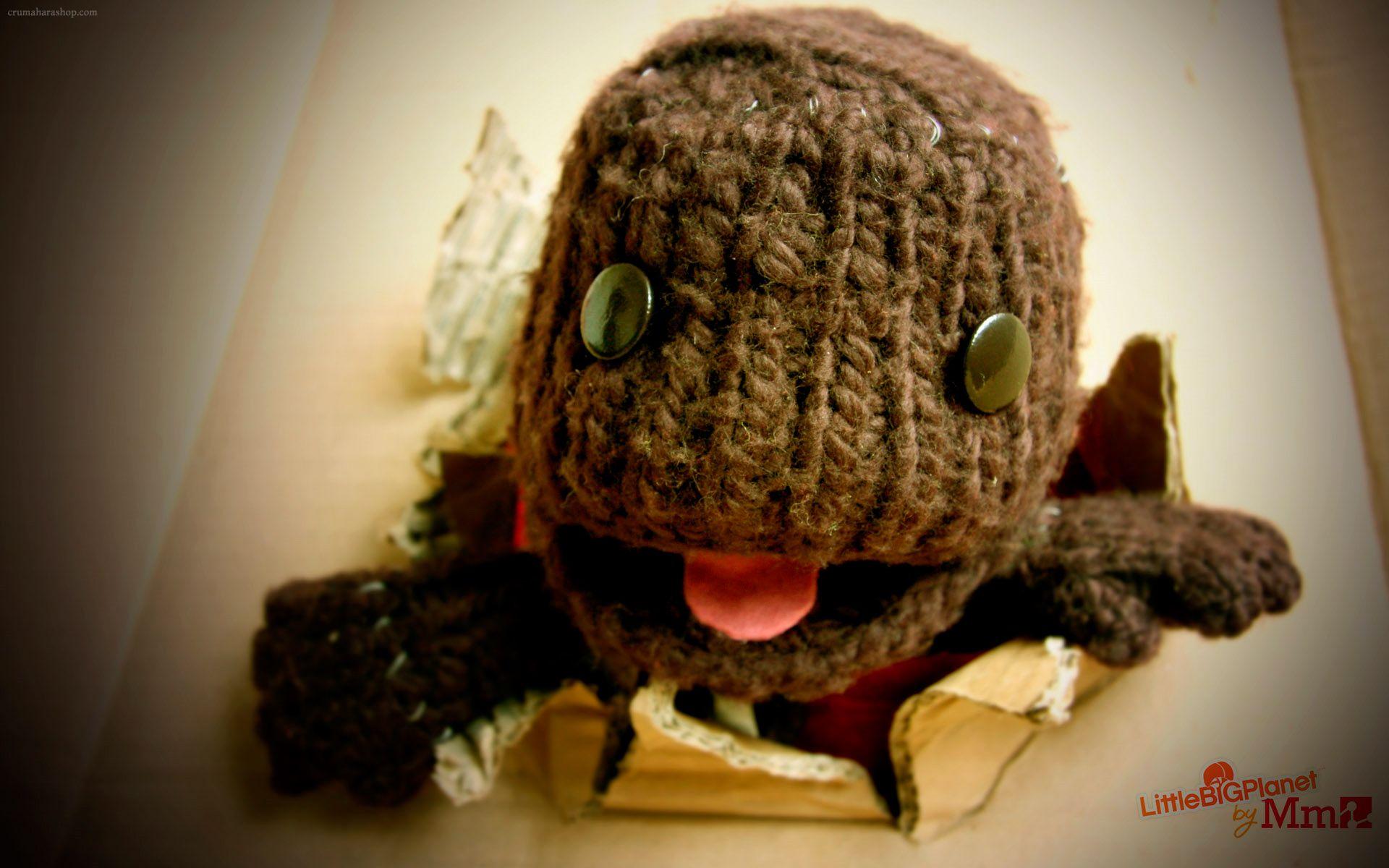 Little Big Planet