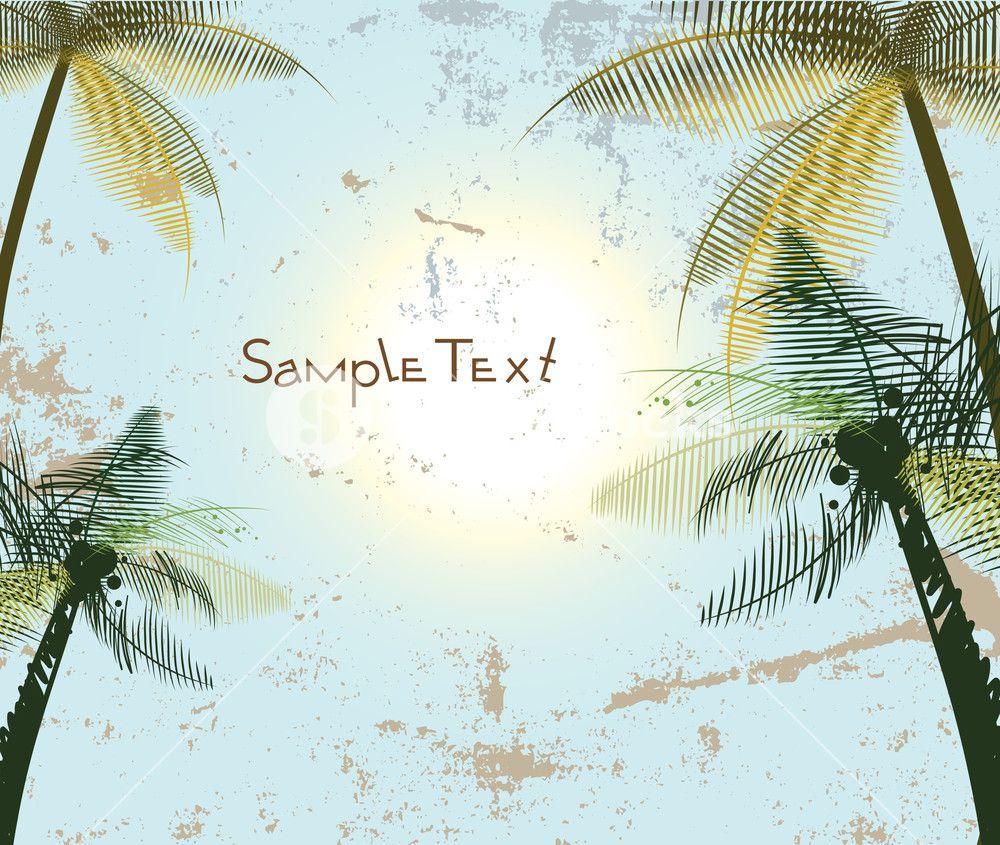 Vector Summer Background With Palm Trees Royalty Free Stock Image