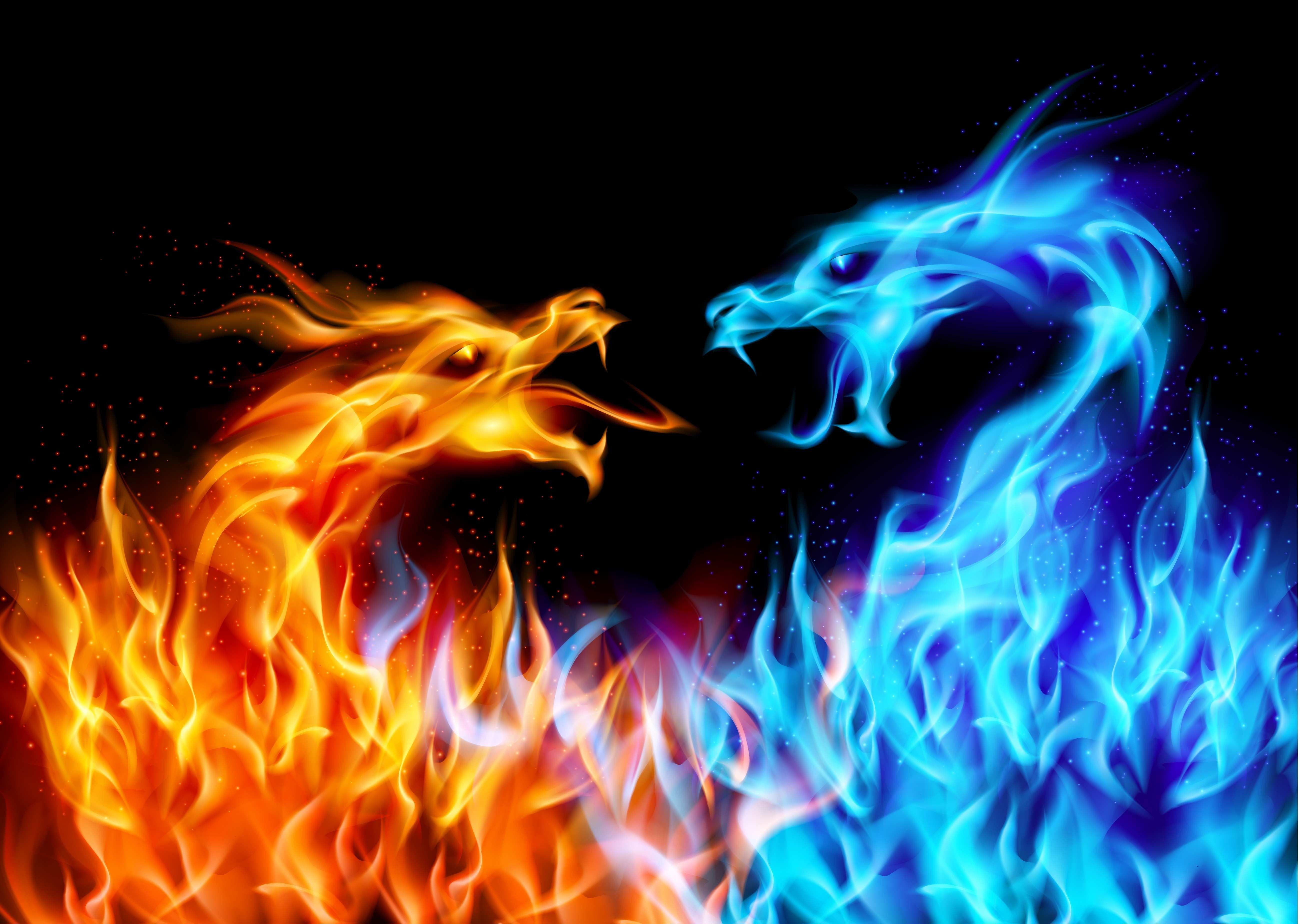 Red and blue dragon flame digital wallpaper HD wallpaper. Wallpaper