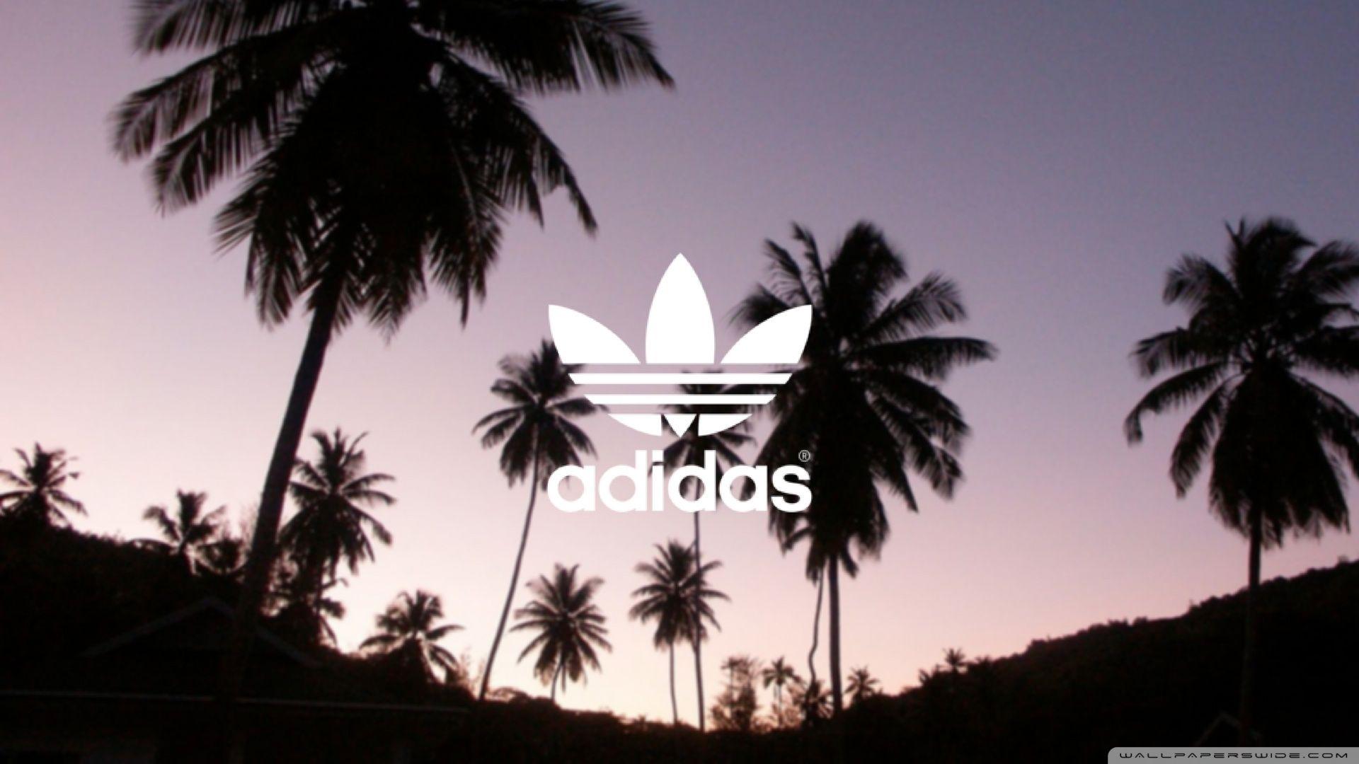 Adidas, Palm Trees Background ❤ 4K HD Desktop Wallpaper for 4K