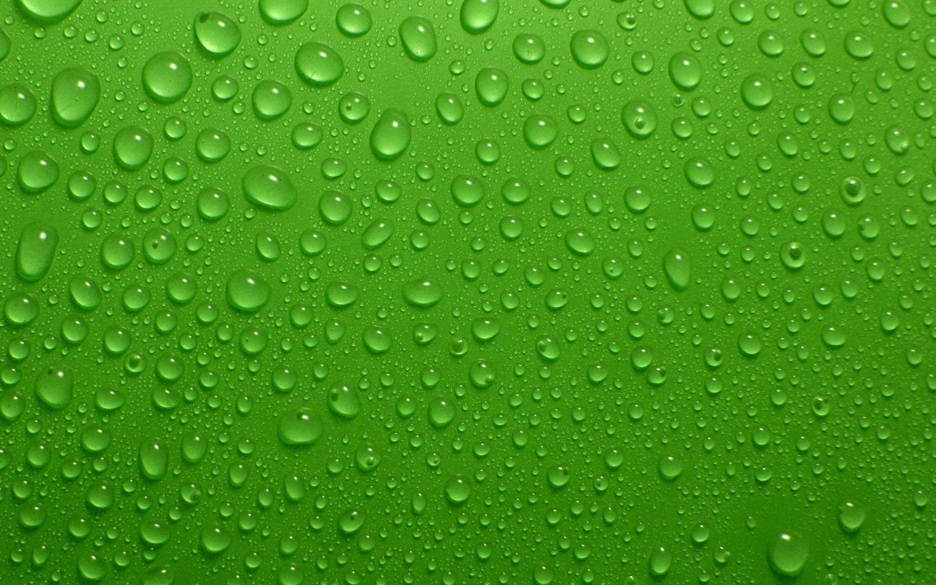 Image Green Wallpaper HD