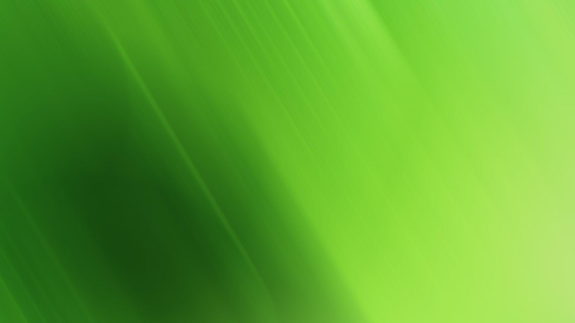 Free Download HD Green Wallpaper for Windows and Mac Systems 1280