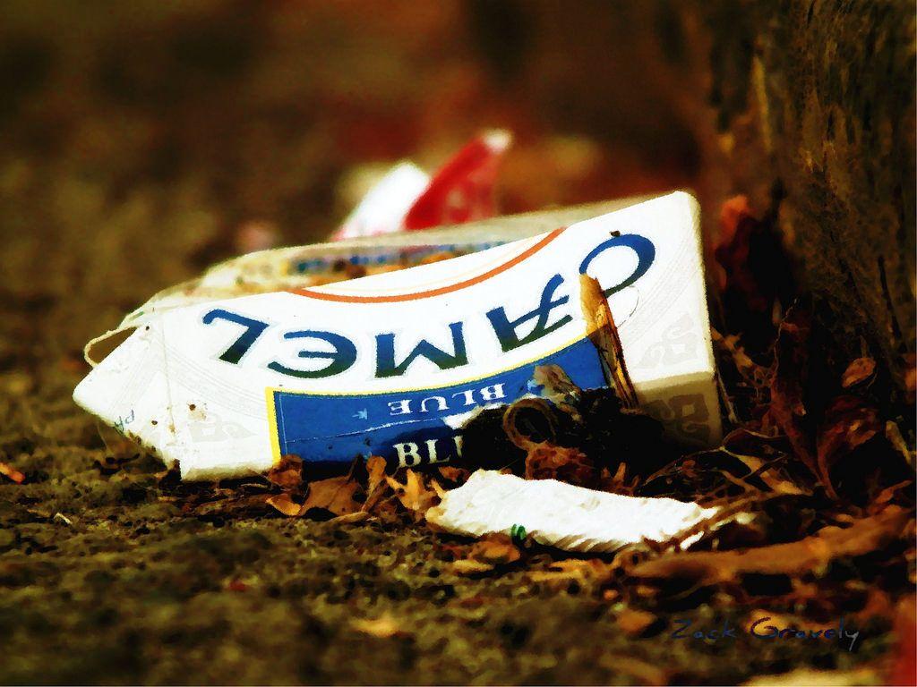 The World's most recently posted photo of marlboro and whiskey