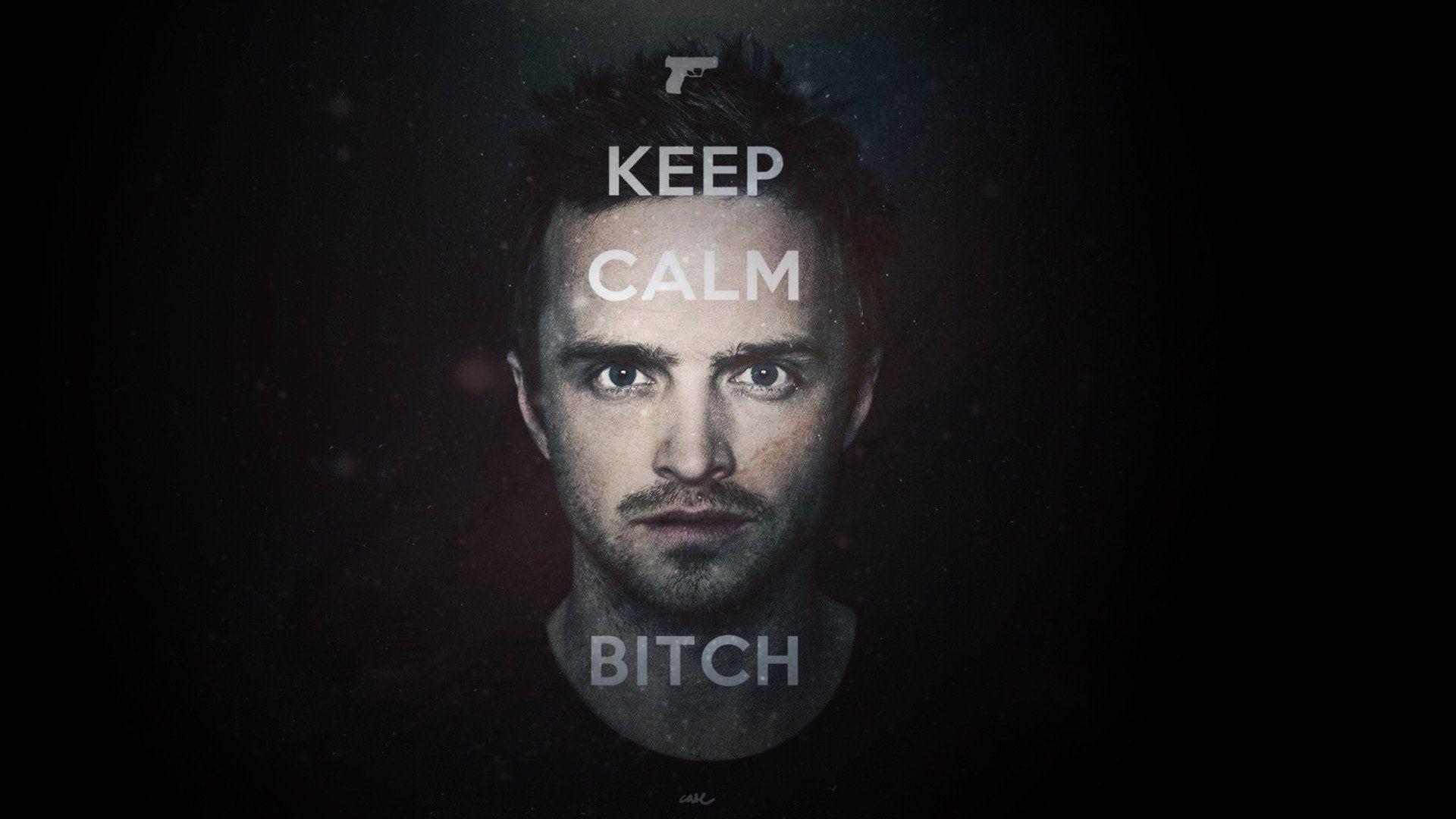 Breaking Bad Wallpapers All Hail The King Wallpaper Cave