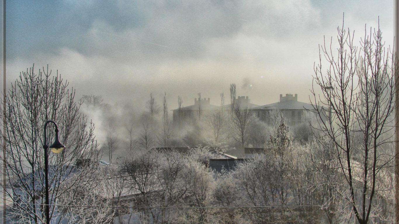 Forests: Op Fjeldet Toner En Lur Black Metal Varg Vikernes Burzum