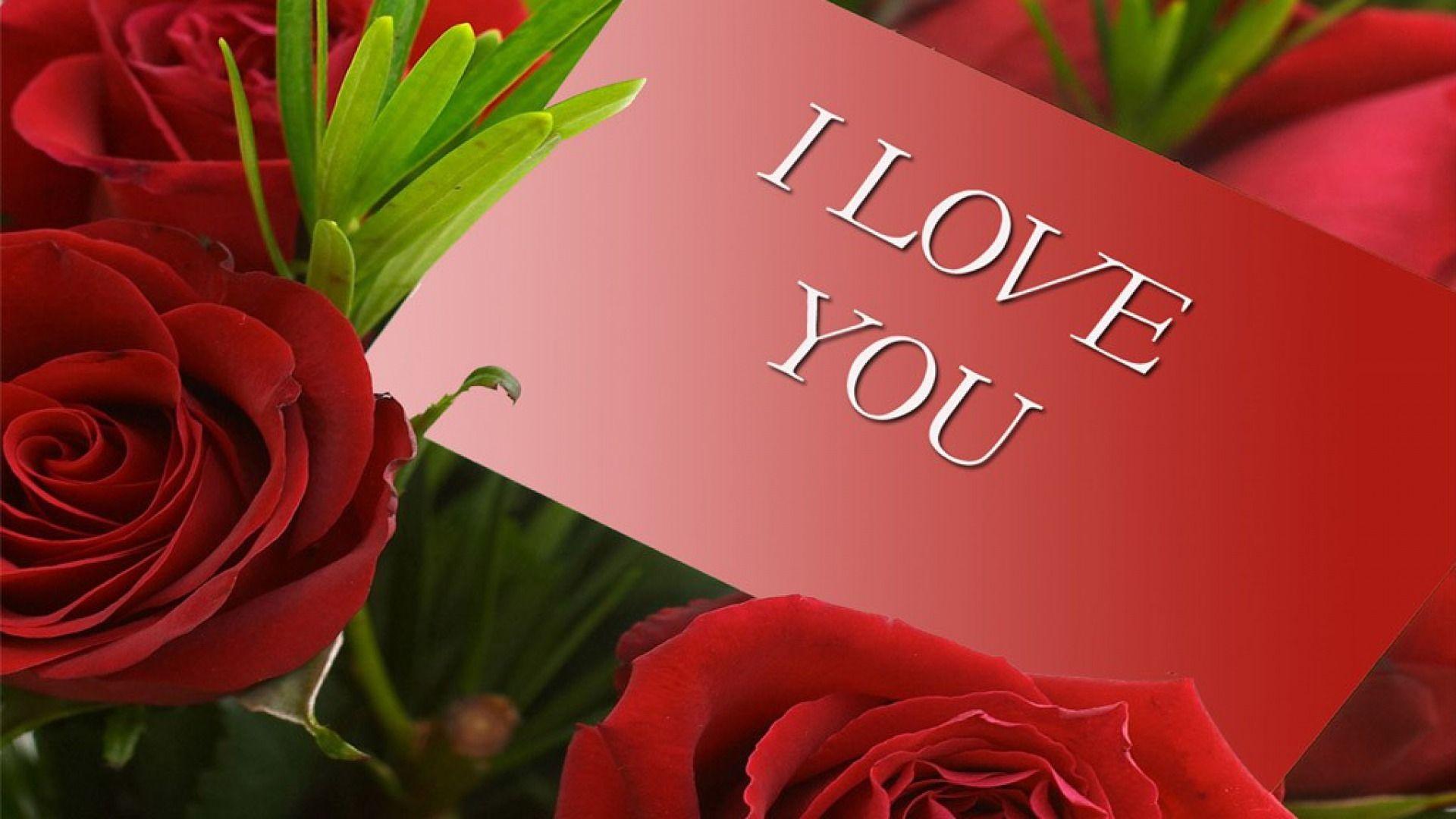Download download HD Wallpaper of i love you HD download