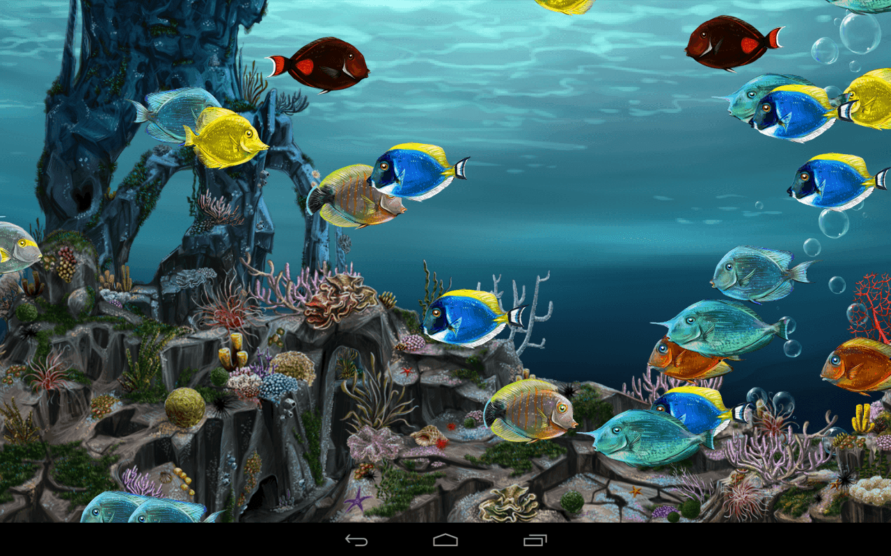 Wallpaper Bergerak Aquarium 3d Image Num 51