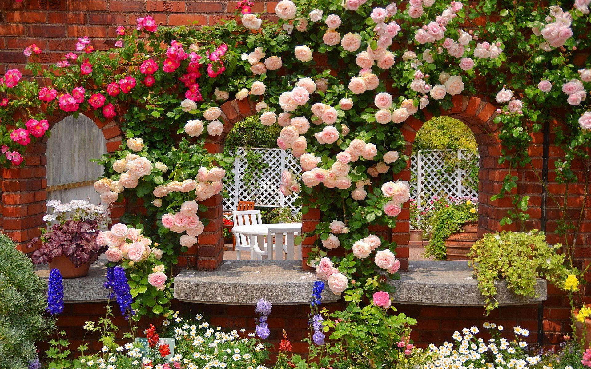 Free Rose Garden Wallpaper High Quality