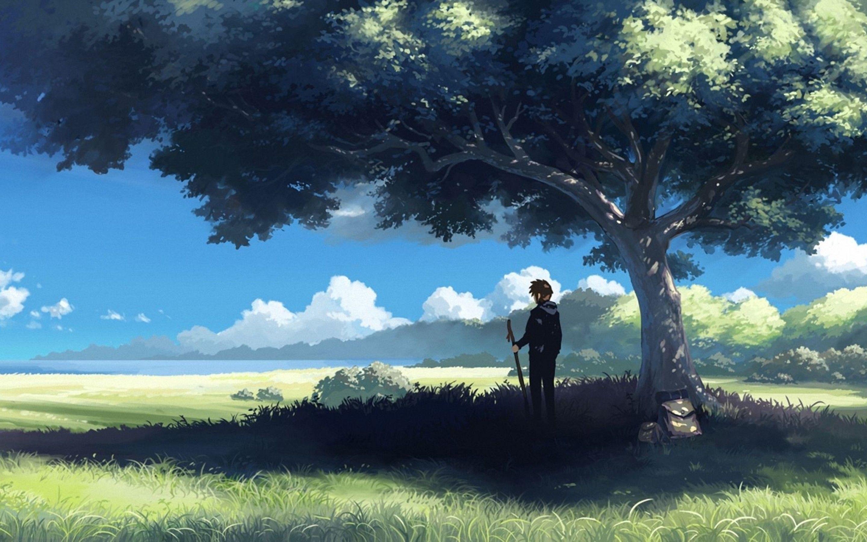 Anime Tree Scenery Free Wallpaper Desktop Wallpaper