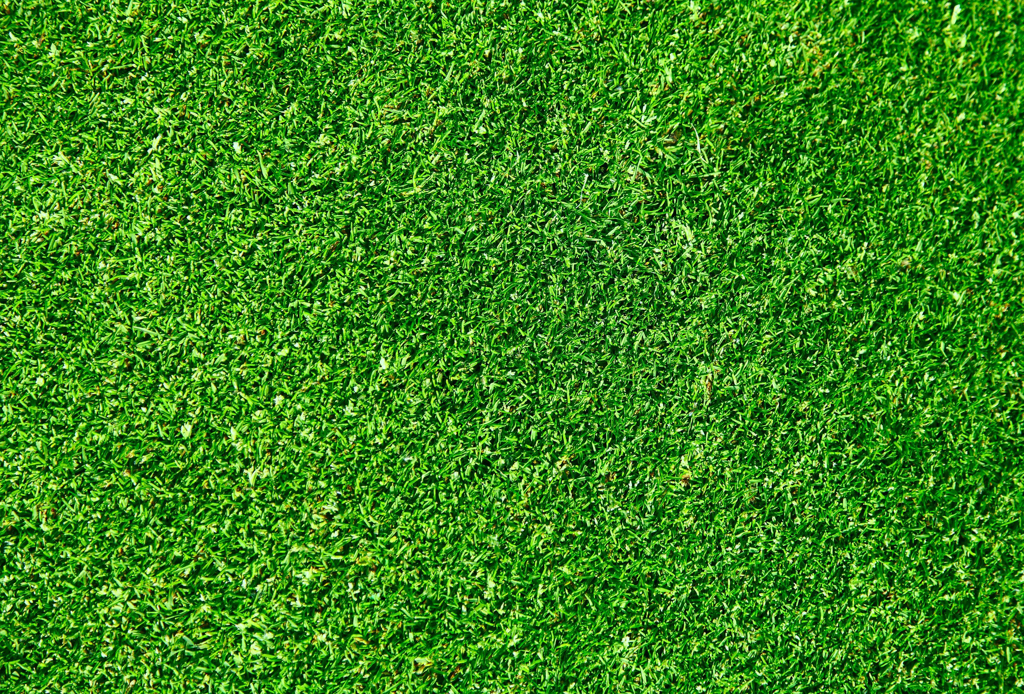 Green Grass Texture Wallpaper Picture with HD Deskx2400 px