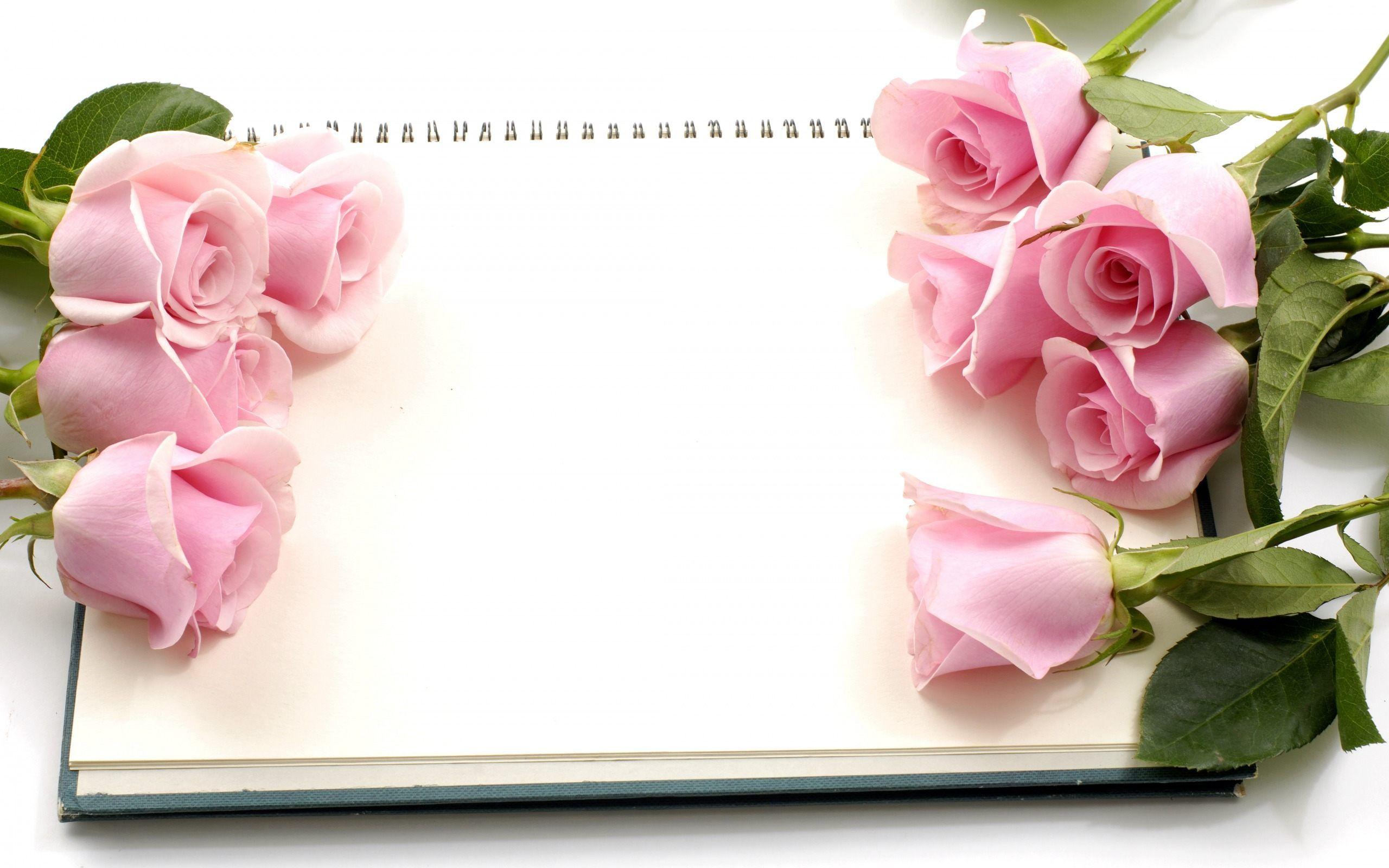 Pink Roses Flowers and Diary Wallpaper. HD Desktop Background