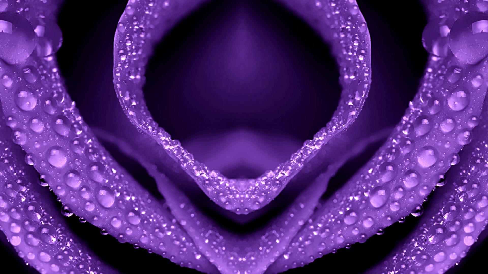 Flowers Purple 1080p Flower wallpaper Desktop, Phone, Tablet