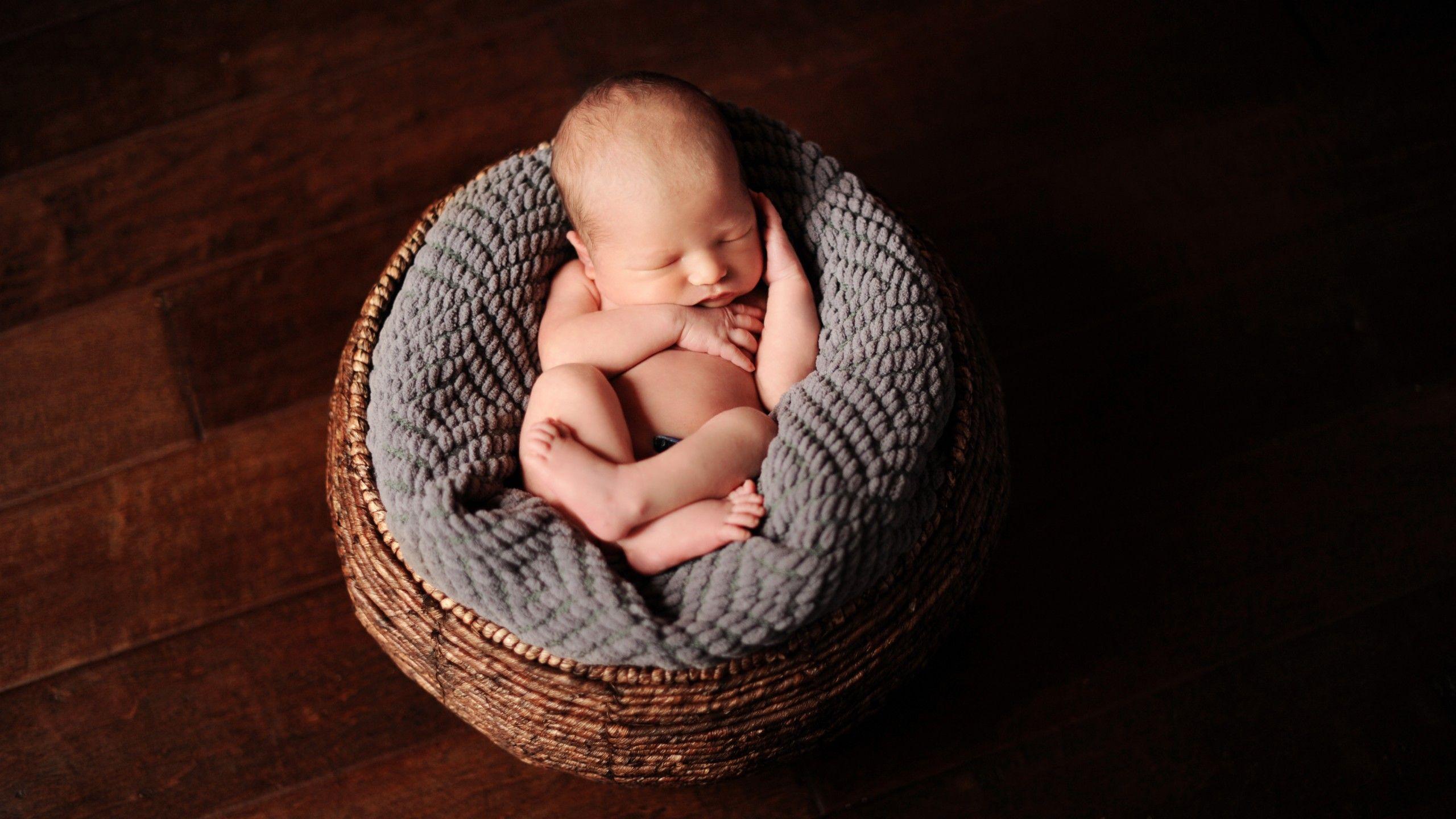 Wallpaper Newborn baby, Basket, HD, 4K, Cute